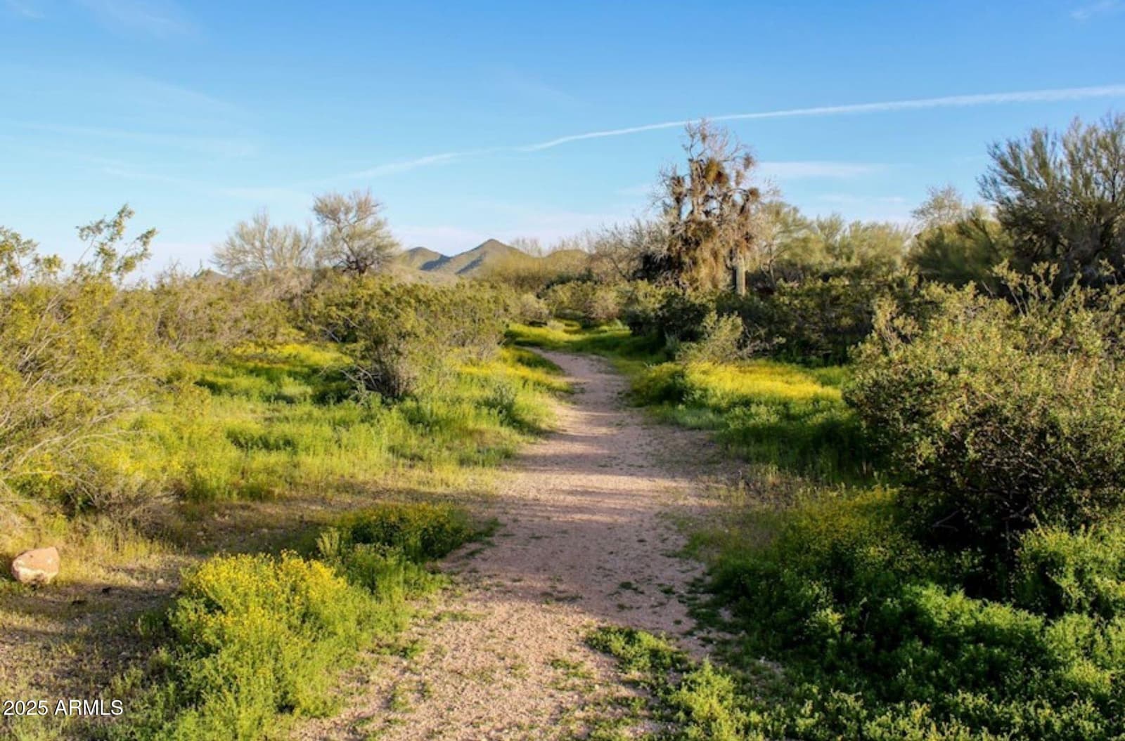 2425 W Bronco Butte Trail 2046, Phoenix, AZ 85085 — photo 45 of 54