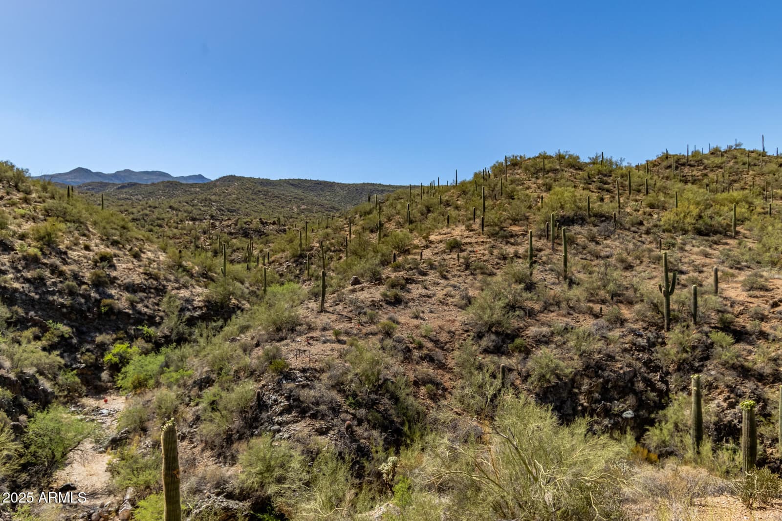 32150 S LISA Drive, Black Canyon City, AZ 85324 — photo 38 of 40