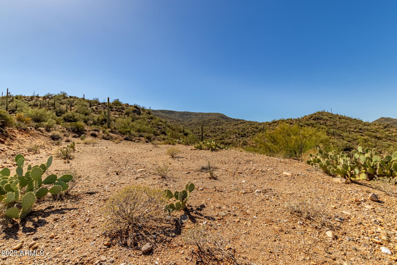 32150 S LISA Drive, Black Canyon City, AZ 85324 — photo 39 of 40