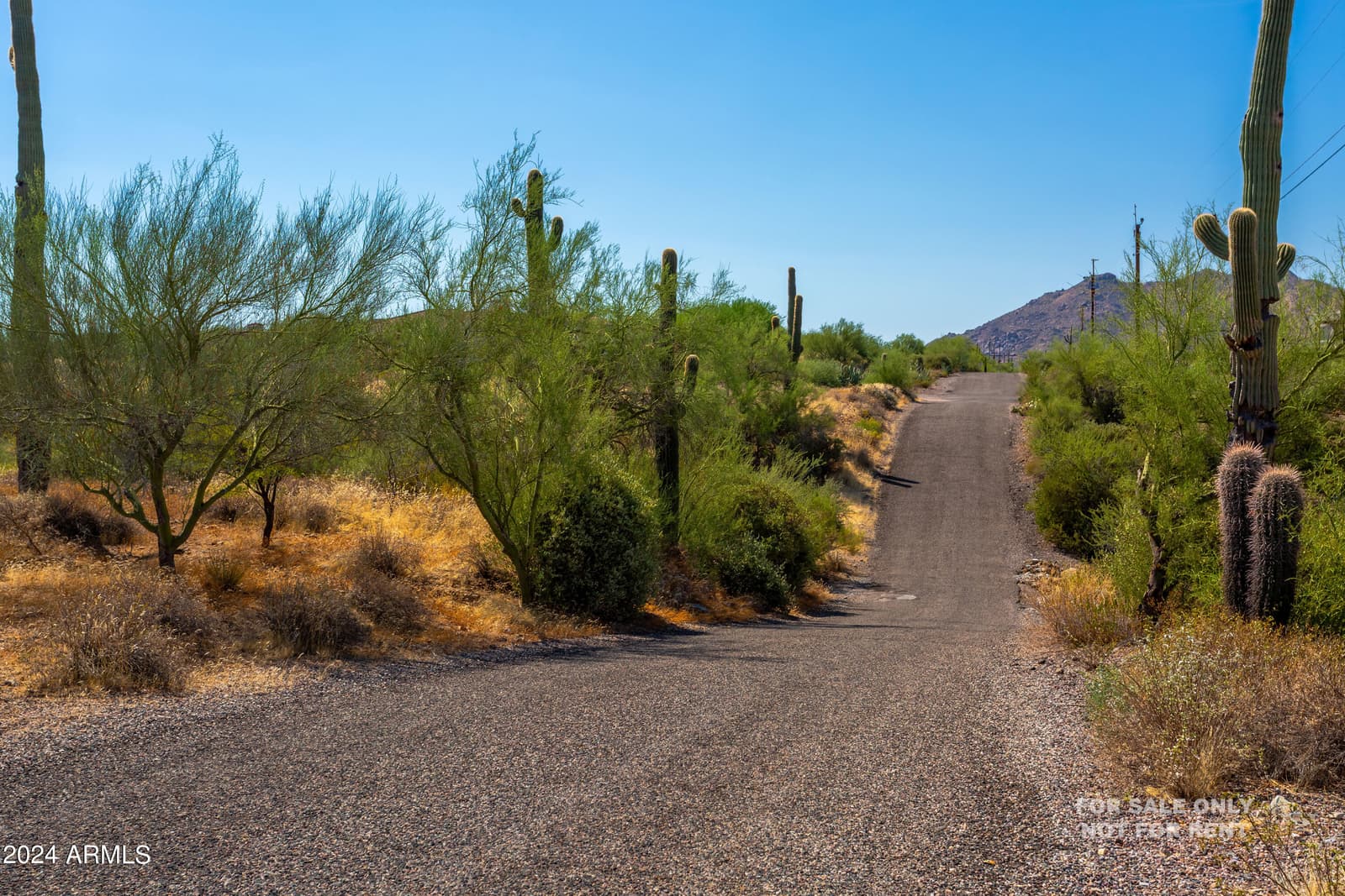 40777 N ECHO CANYON Drive, Cave Creek, AZ 85331 — photo 5 of 94