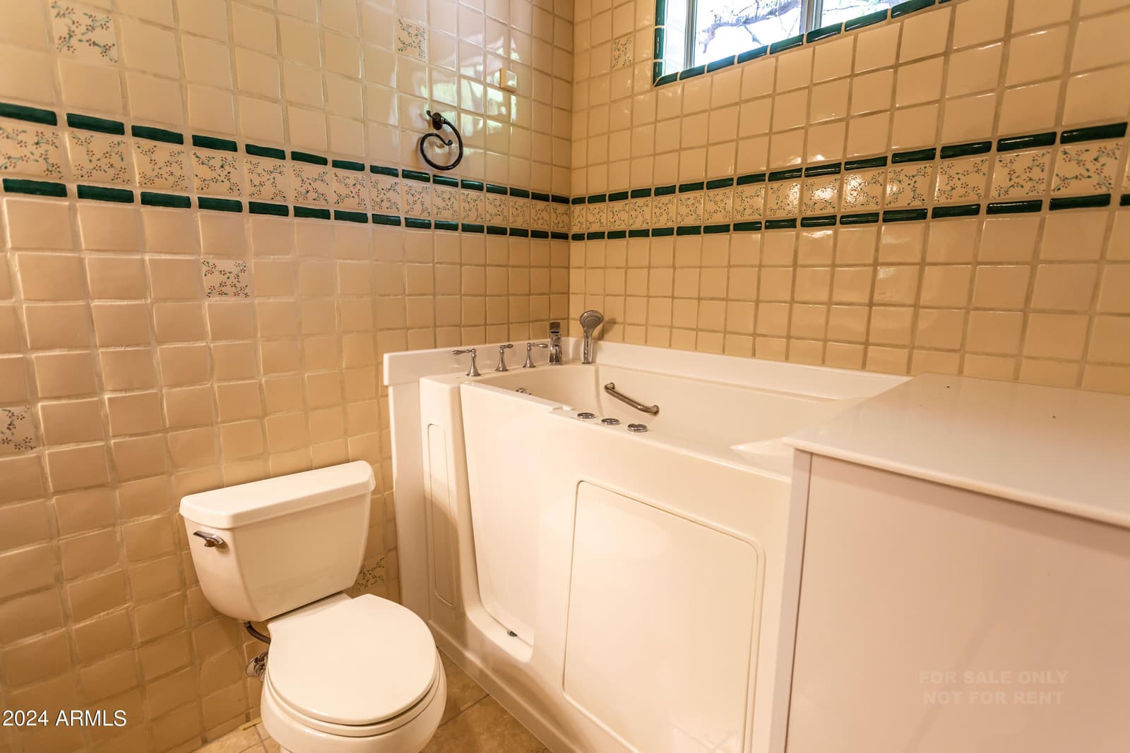 40777 N ECHO CANYON Drive, Cave Creek, AZ 85331 — photo 42 of 94