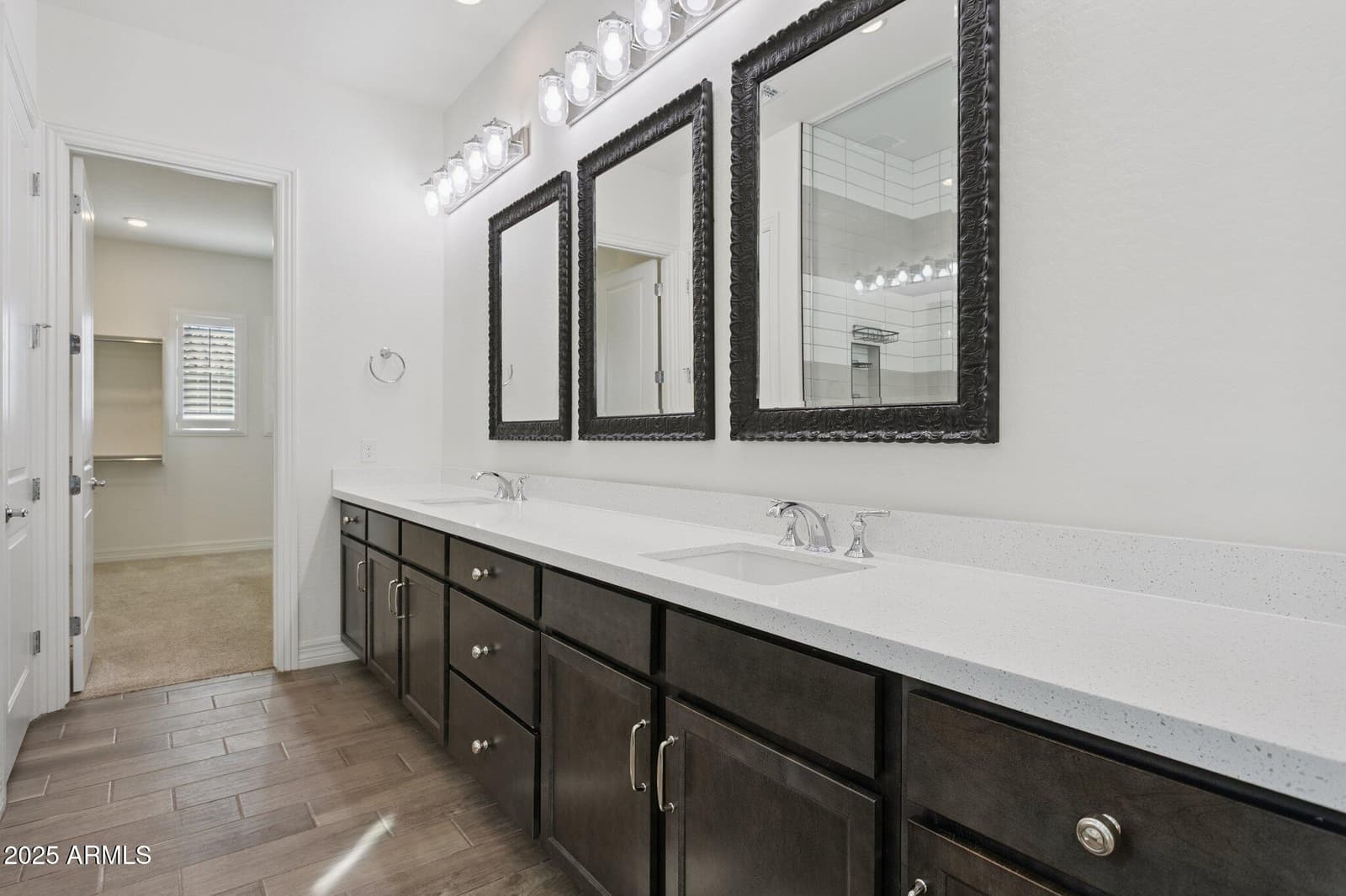 11249 N BLAKELY Street, Surprise, AZ 85388 — photo 18 of 50