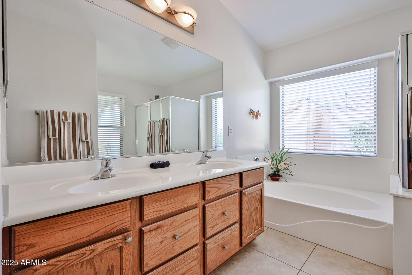 17648 W VOLTAIRE Street, Surprise, AZ 85388 — photo 22 of 50