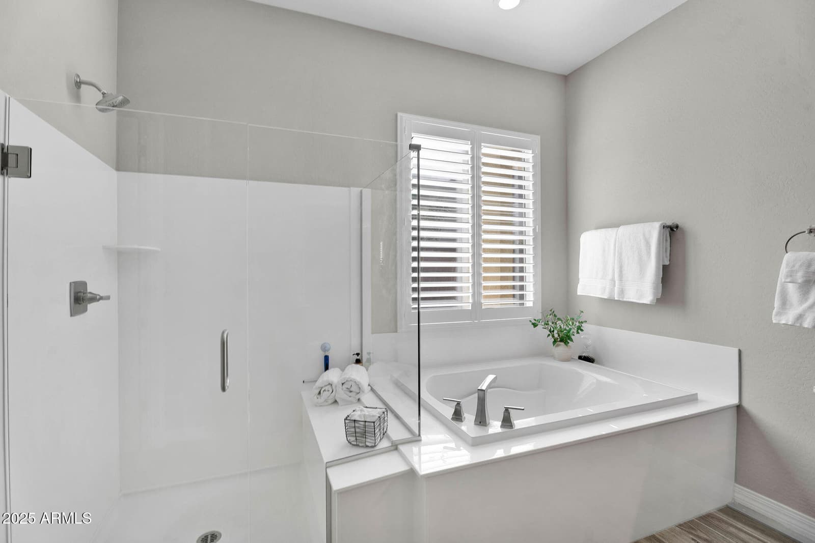 13769 W BLOSSOM Way, Litchfield Park, AZ 85340 — photo 16 of 36