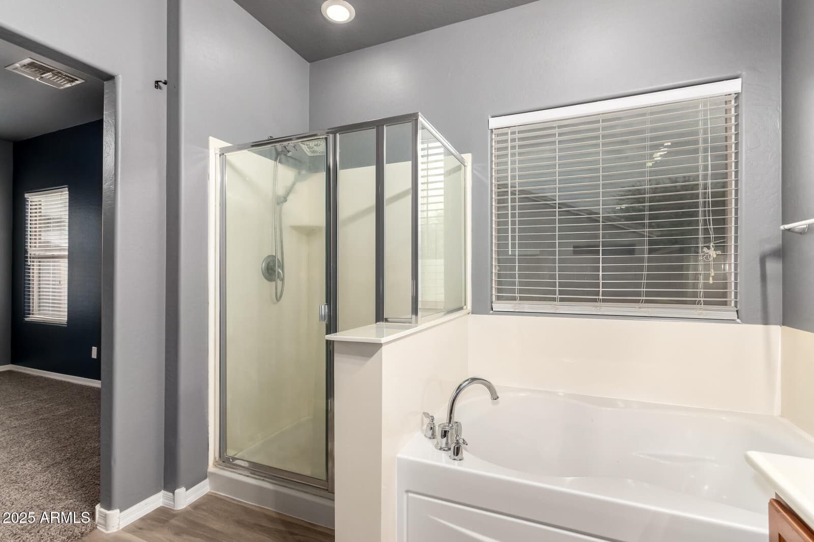 11137 E SUTTER Avenue, Mesa, AZ 85212 — photo 20 of 38