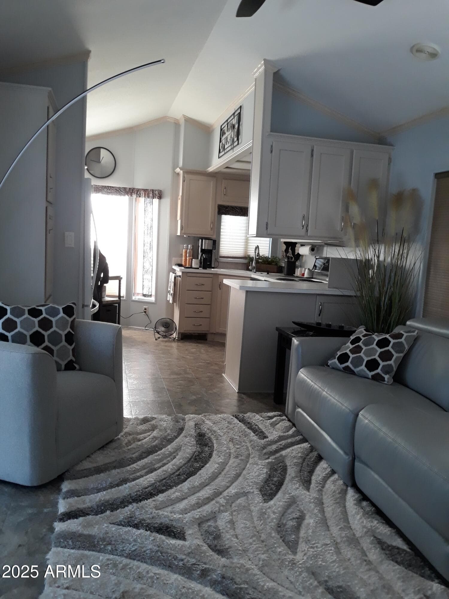 11201 N EL MIRAGE Road 720, El Mirage, AZ 85335 — photo 17 of 43
