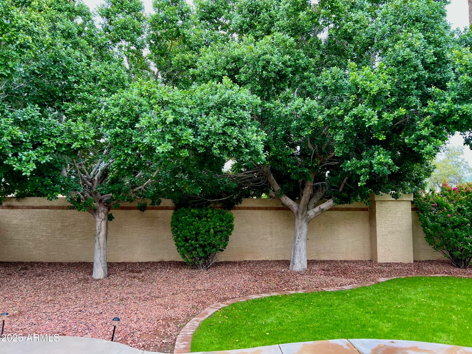 8461 W MCRAE Way, Peoria, AZ 85382 — photo 17 of 21