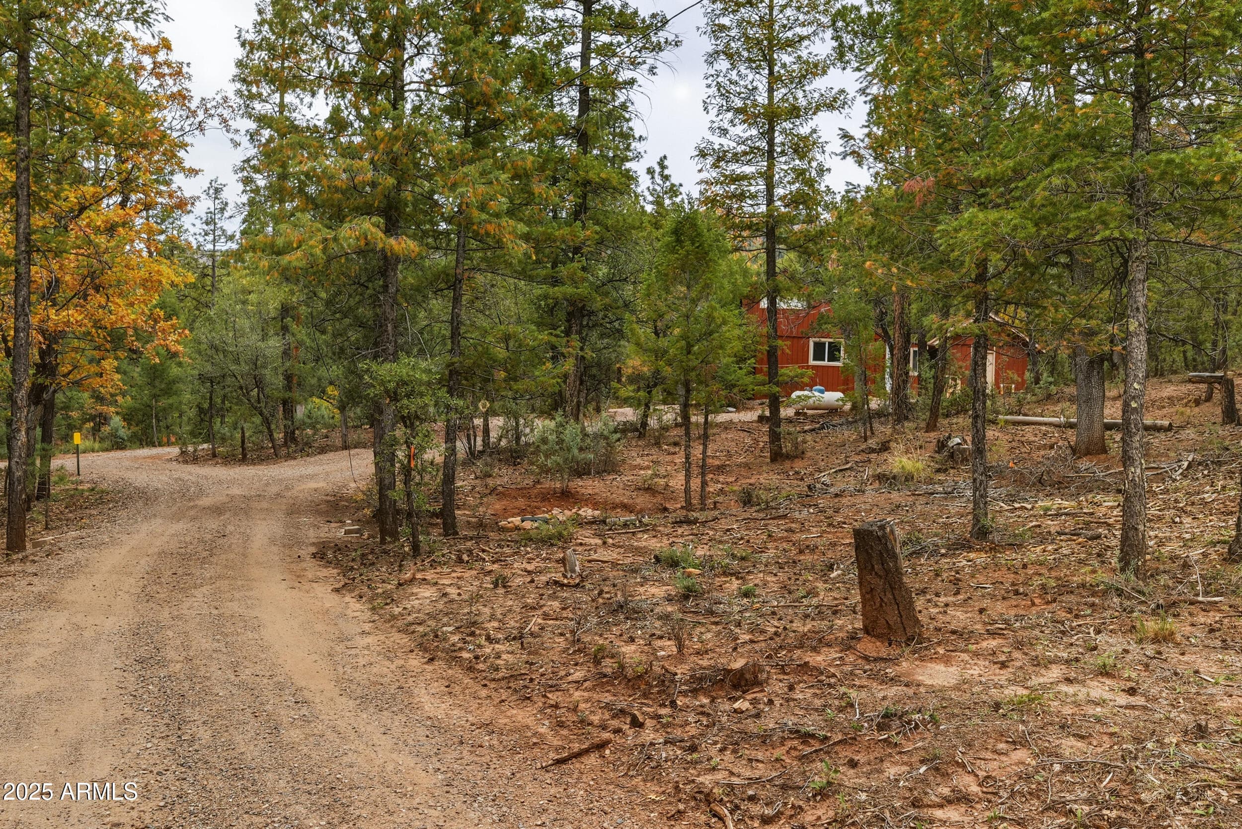 195 N JUNIPER Way, Payson, AZ 85541 — photo 45 of 71