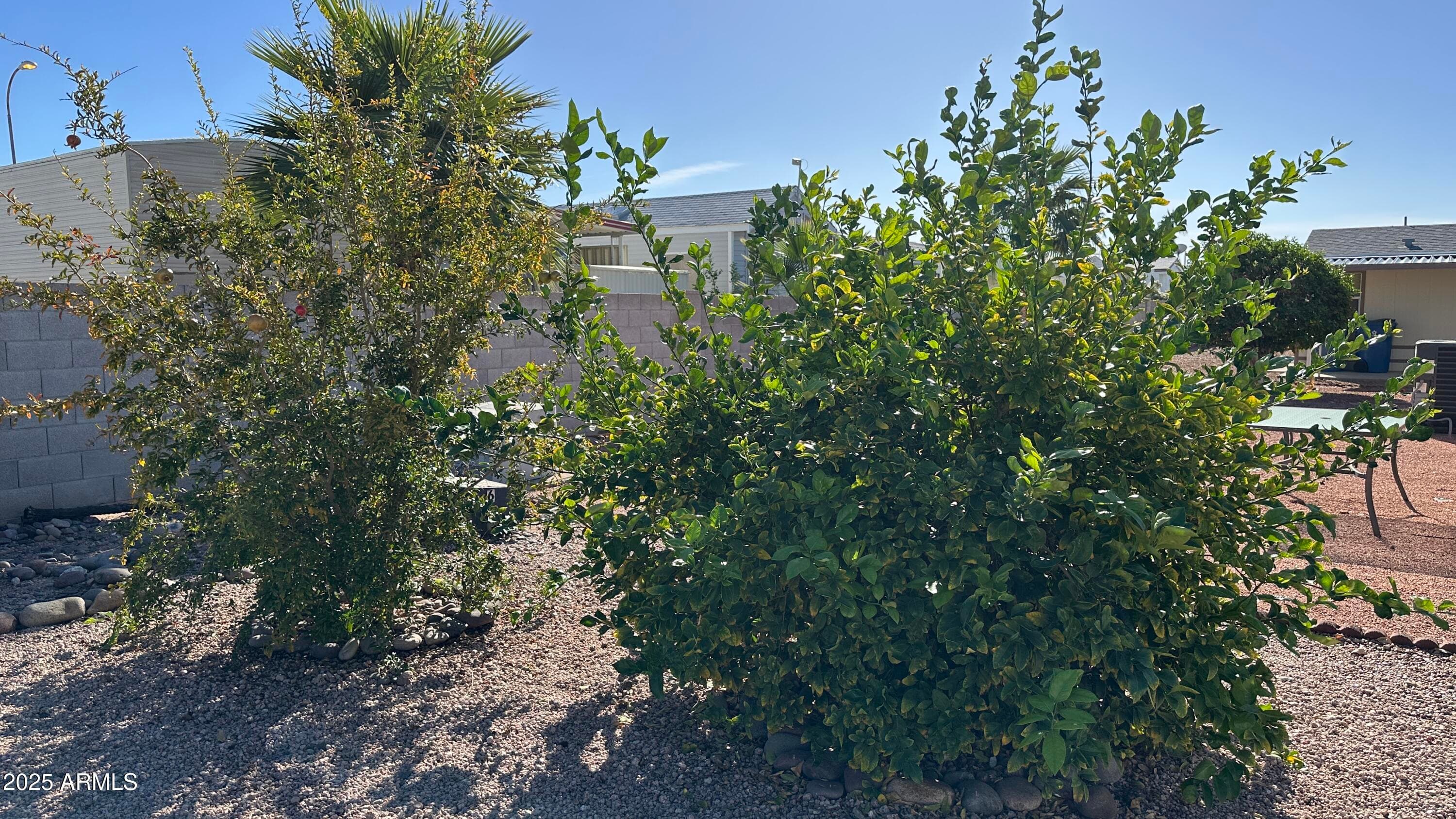 834 S Meridian Road 105, Apache Junction, AZ 85120 — photo 44 of 49