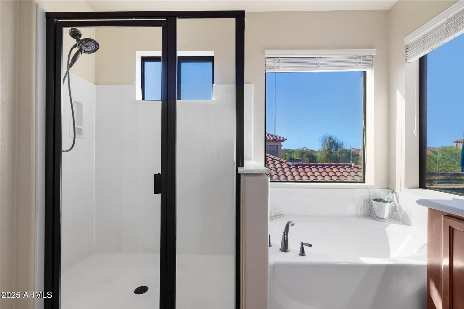 8536 E INCA Street, Mesa, AZ 85207 — photo 22 of 44