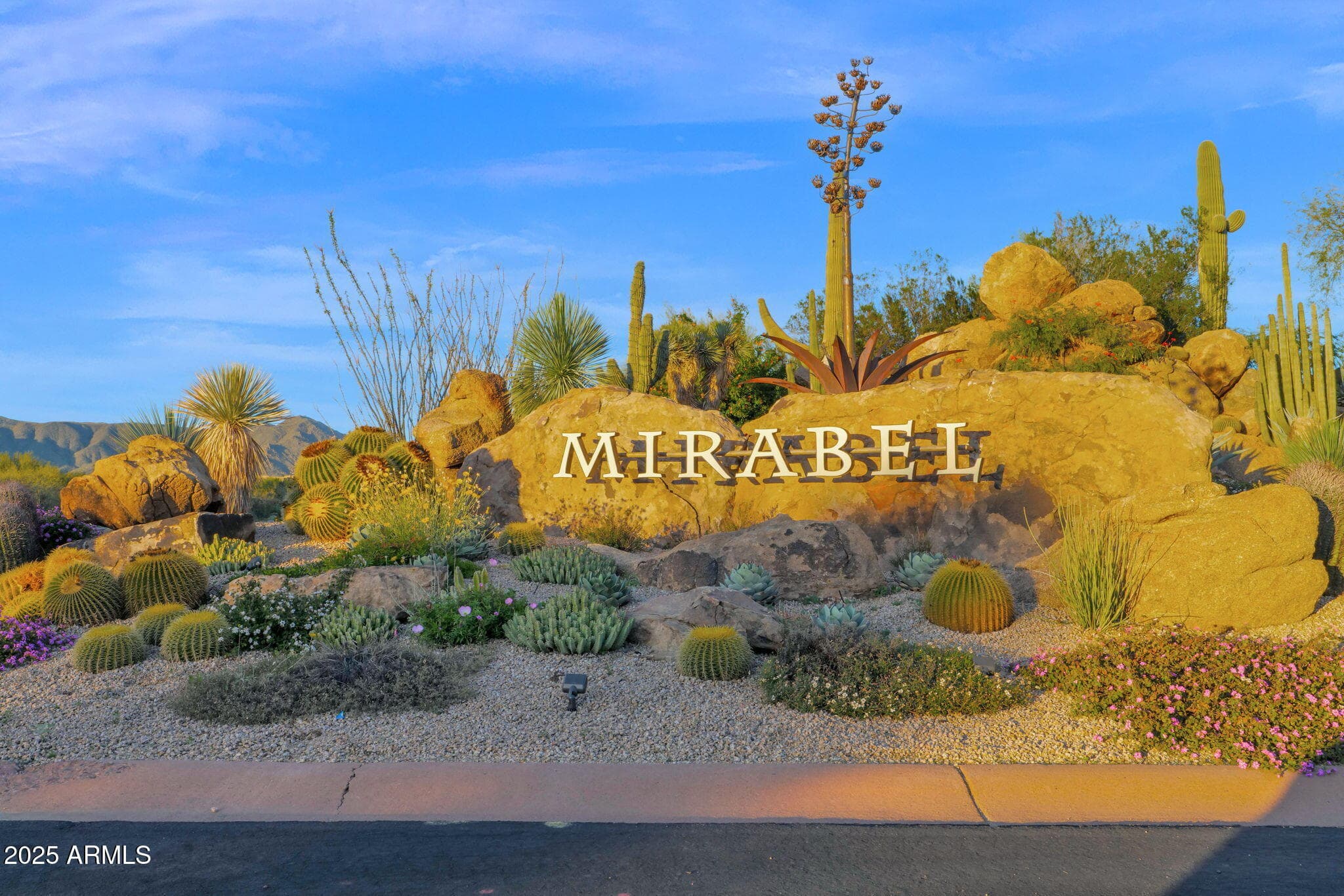 36304 N 105TH Way, Scottsdale, AZ 85262 — photo 60 of 67