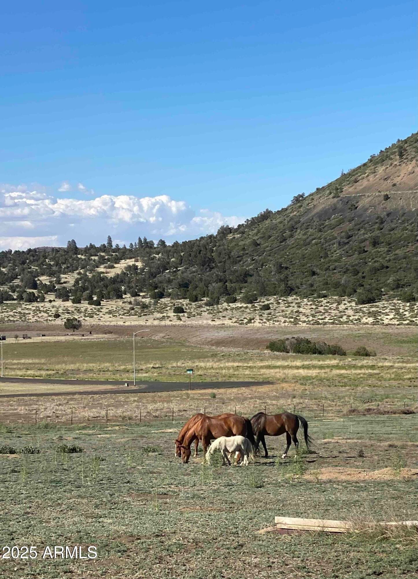 12913 WILD HORSE Trail, Flagstaff, AZ 86004 — photo 12 of 29