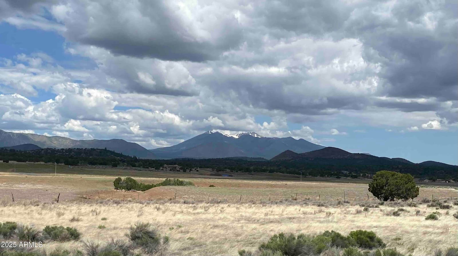 6298 MEADOWS Lane, Flagstaff, AZ 86004 — photo 9 of 29