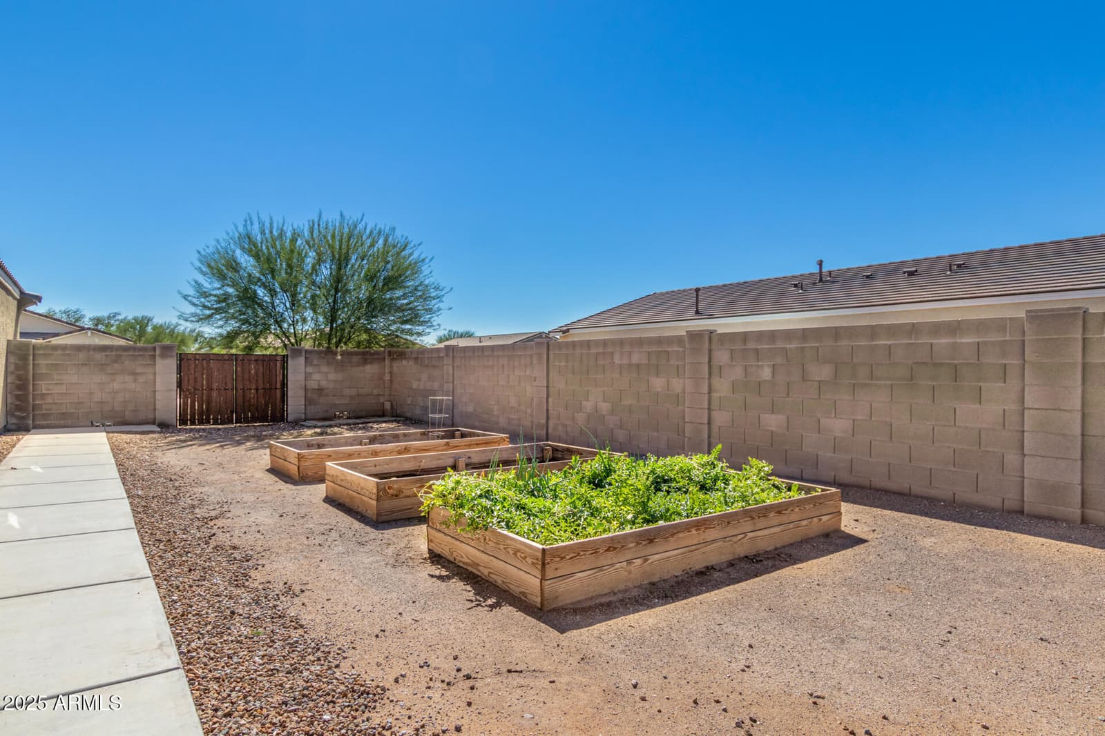 7242 E TEAL Way, San Tan Valley, AZ 85143 — photo 22 of 24