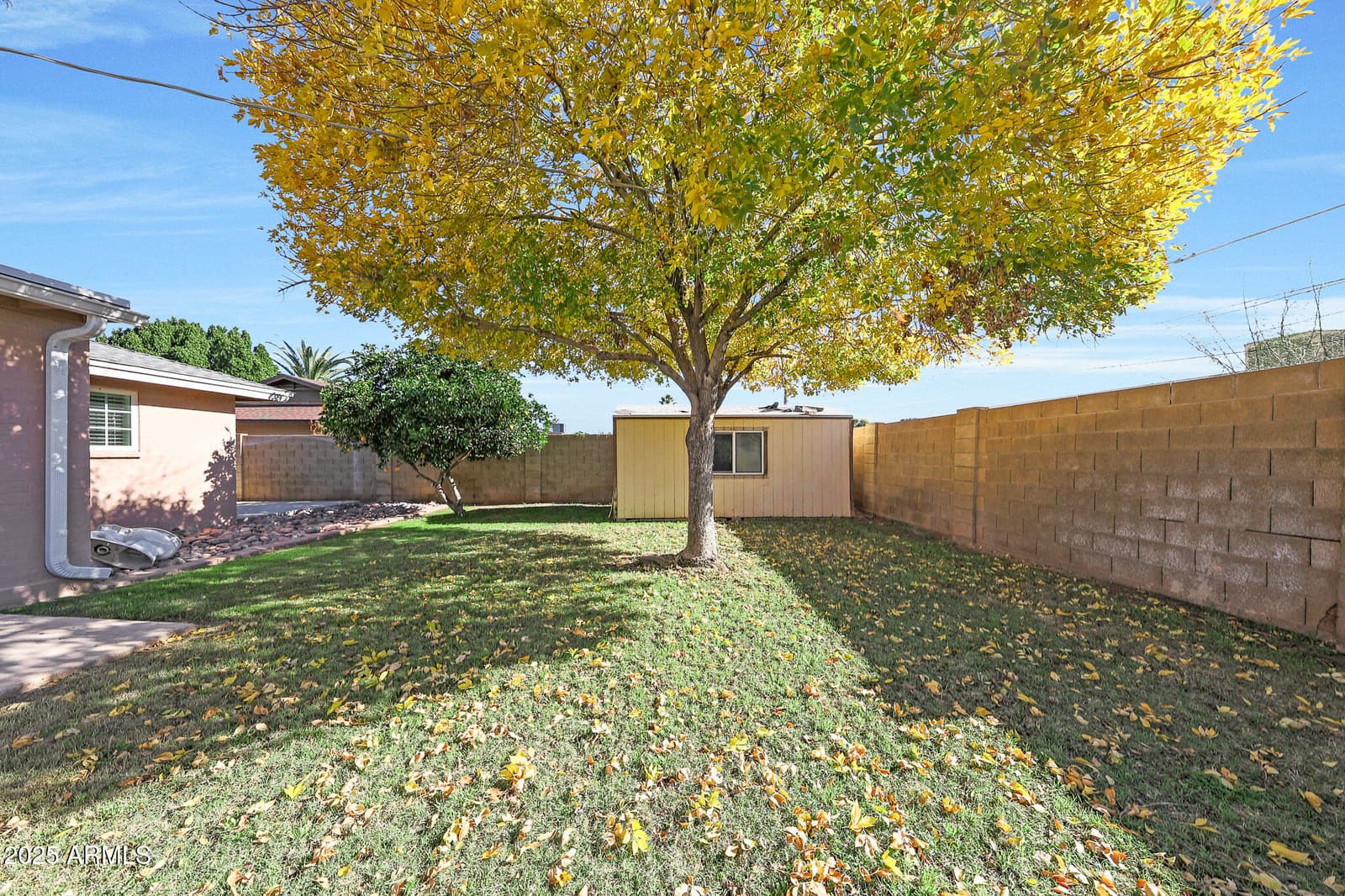 2517 E HIGHLAND Street, Mesa, AZ 85213 — photo 38 of 42