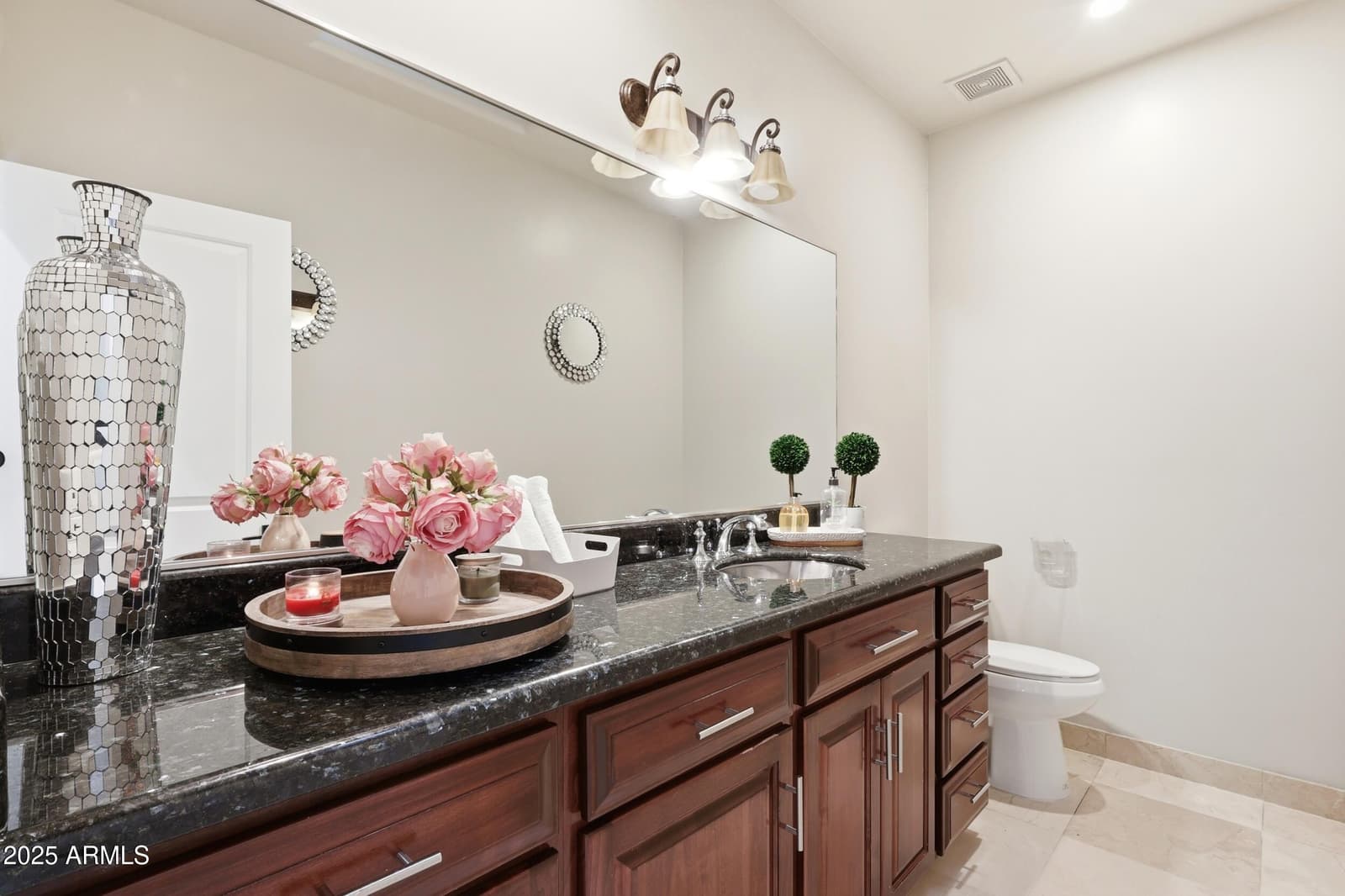 330 N CLOVERFIELD Circle, Litchfield Park, AZ 85340 — photo 27 of 68