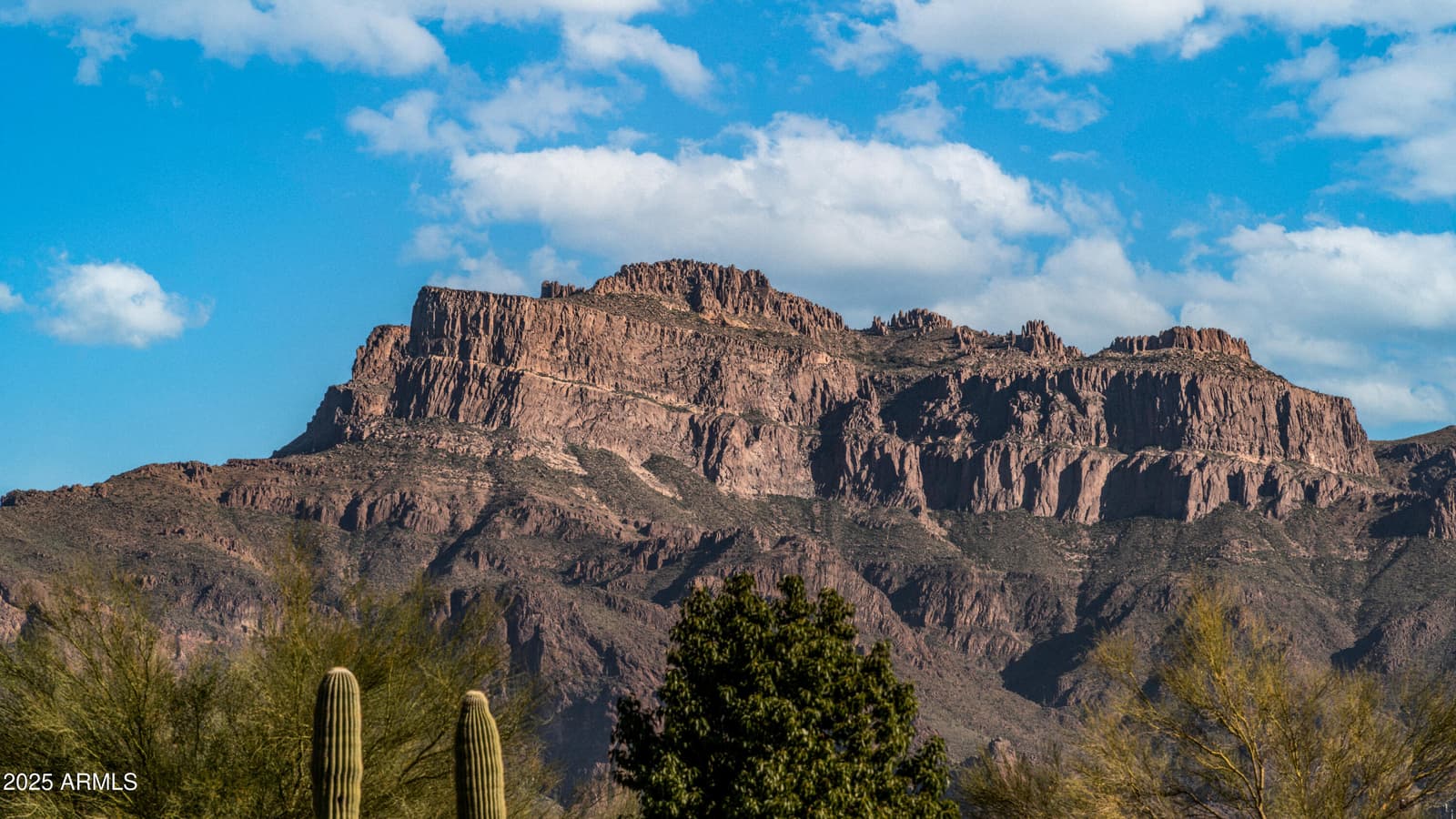 492 IRON ORE Drive, Apache Junction, AZ 85119 — photo 38 of 71