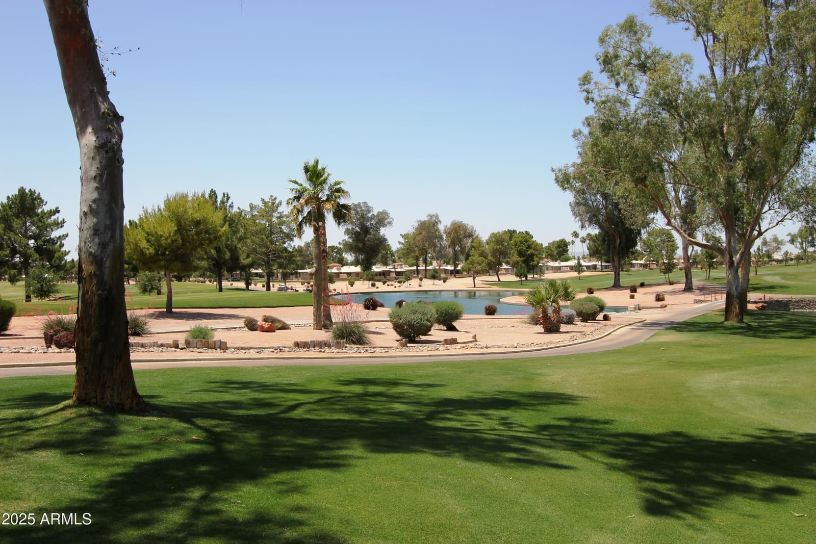 26001 S GREENCASTLE Drive, Sun Lakes, AZ 85248 — photo 33 of 40