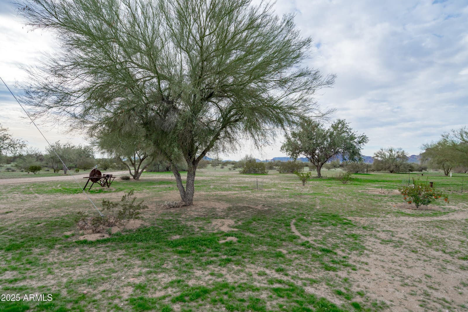 1516 S 547TH Avenue, Tonopah, AZ 85354 — photo 43 of 64