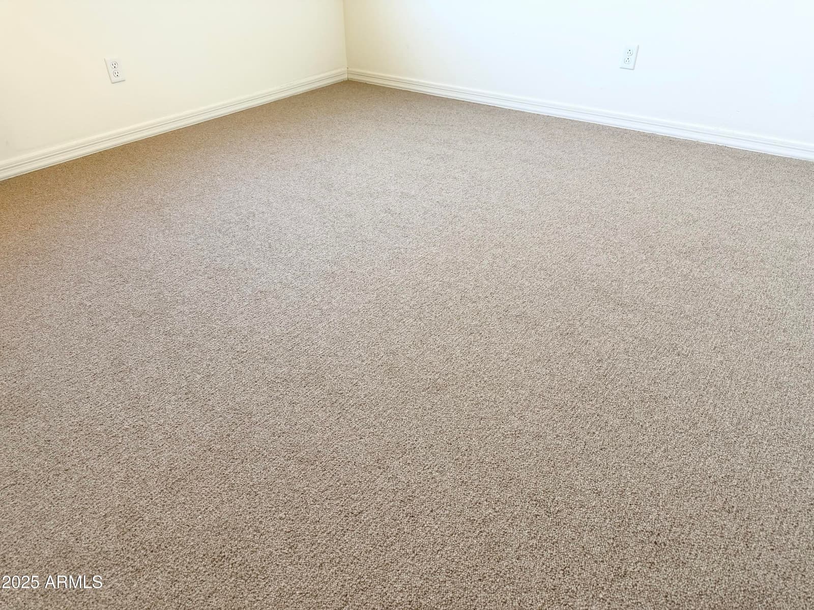 12209 W DESERT Lane, El Mirage, AZ 85335 — photo 59 of 89