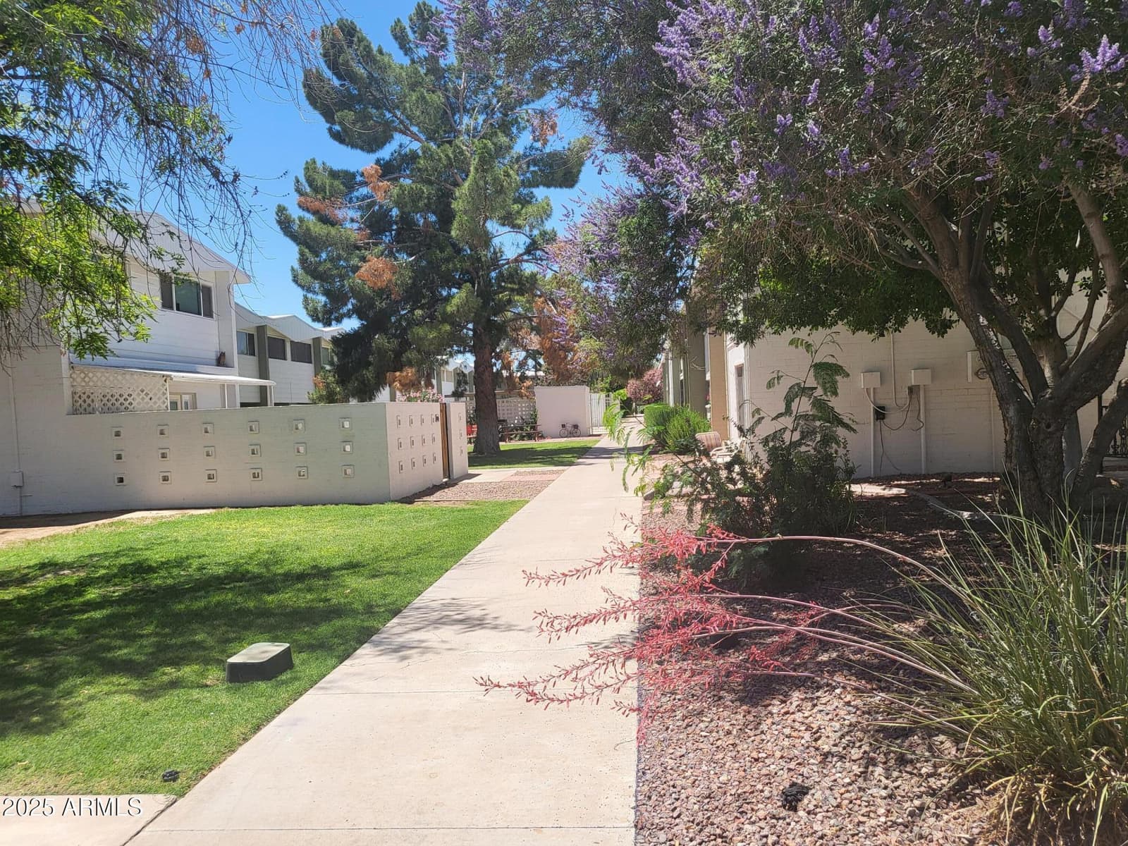 720 N 82ND Street E208, Scottsdale, AZ 85257 — photo 18 of 25