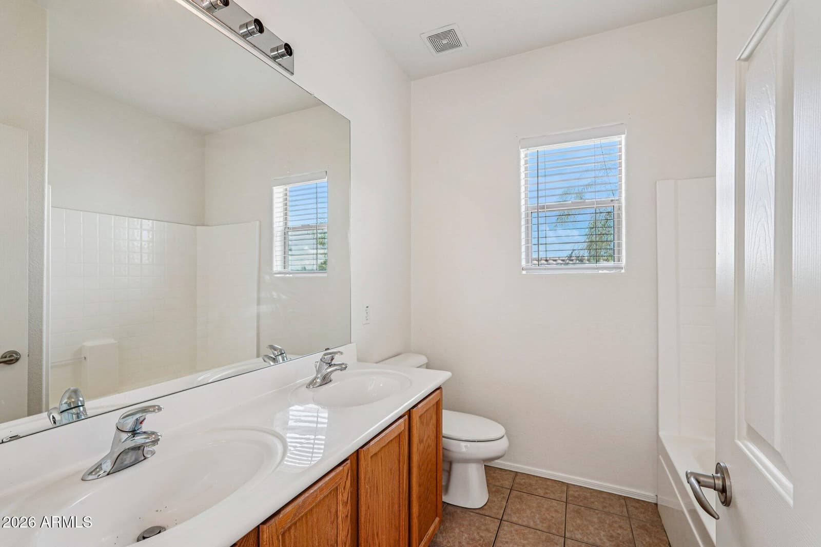 11733 W HADLEY Street, Avondale, AZ 85323 — photo 46 of 96