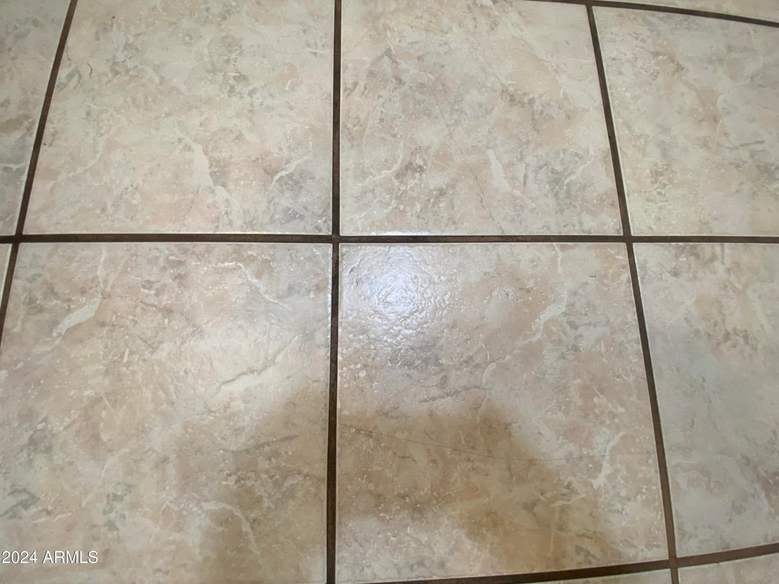 2061 S WALLA WALLA Circle, Apache Junction, AZ 85119 — photo 33 of 45