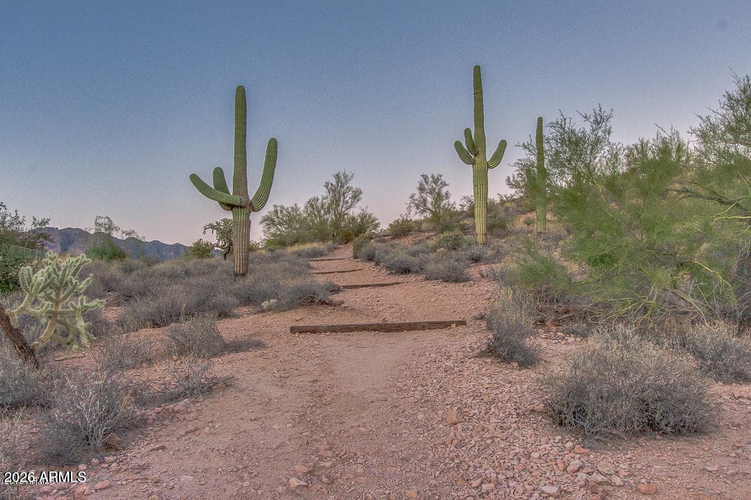 4778 S PRIMROSE Drive, Gold Canyon, AZ 85118 — photo 46 of 50