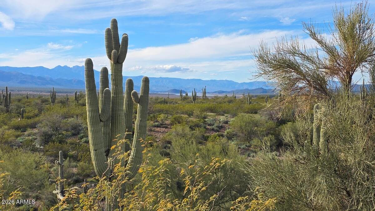 6368 N AZ HIGHWAY 288, Globe, AZ 85501 — photo 3 of 26