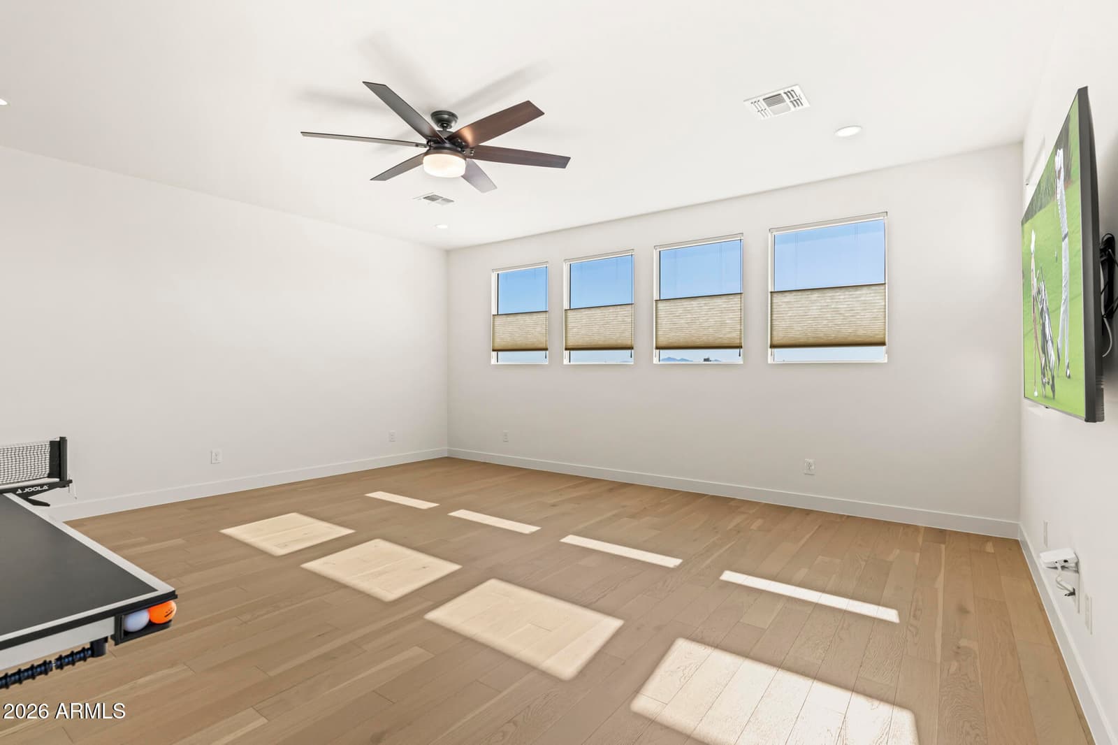 17245 W MIDDLEBURY Street, Surprise, AZ 85388 — photo 63 of 97