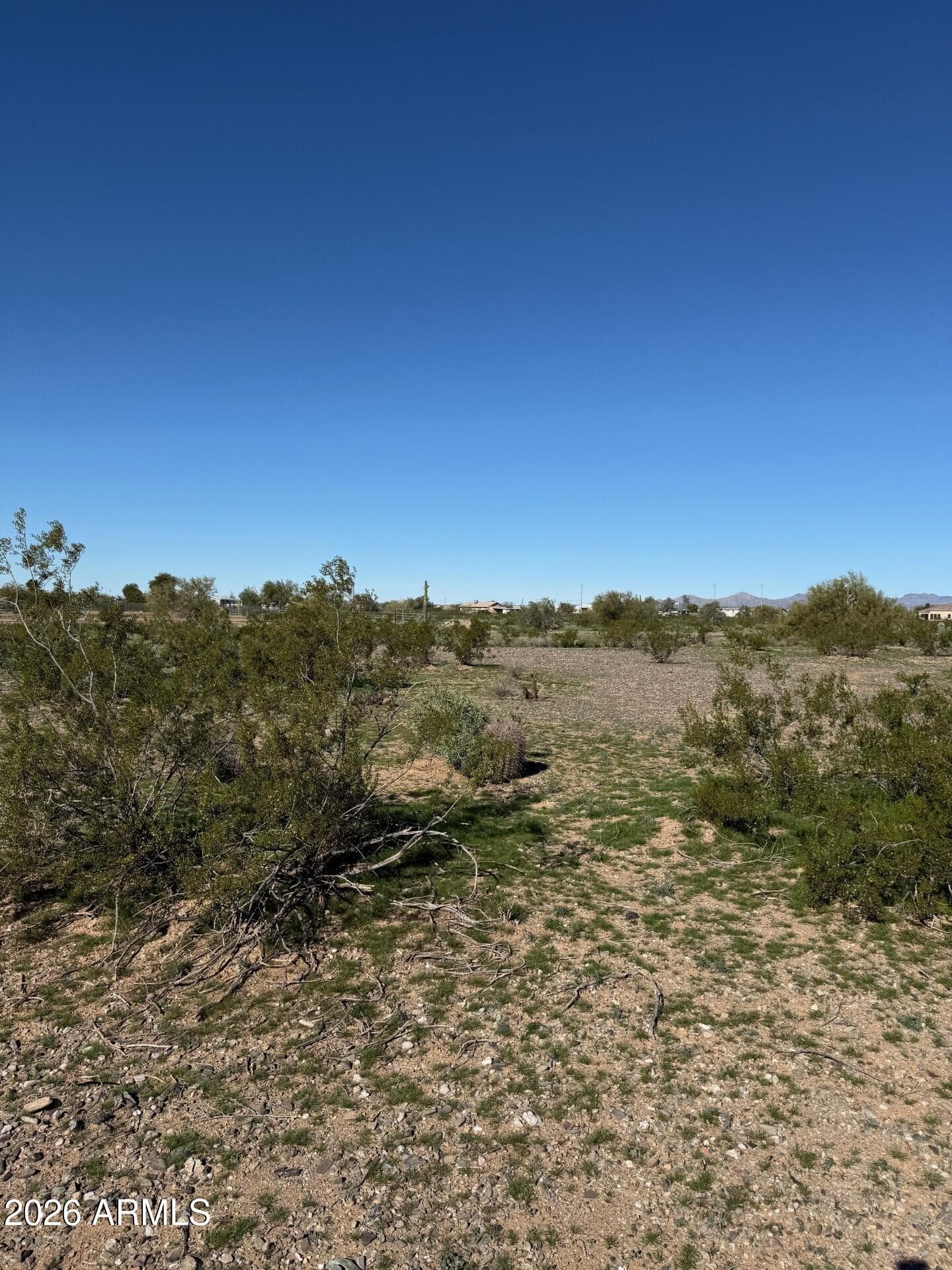 31637 N 169TH Avenue, Surprise, AZ 85387 — photo 58 of 66