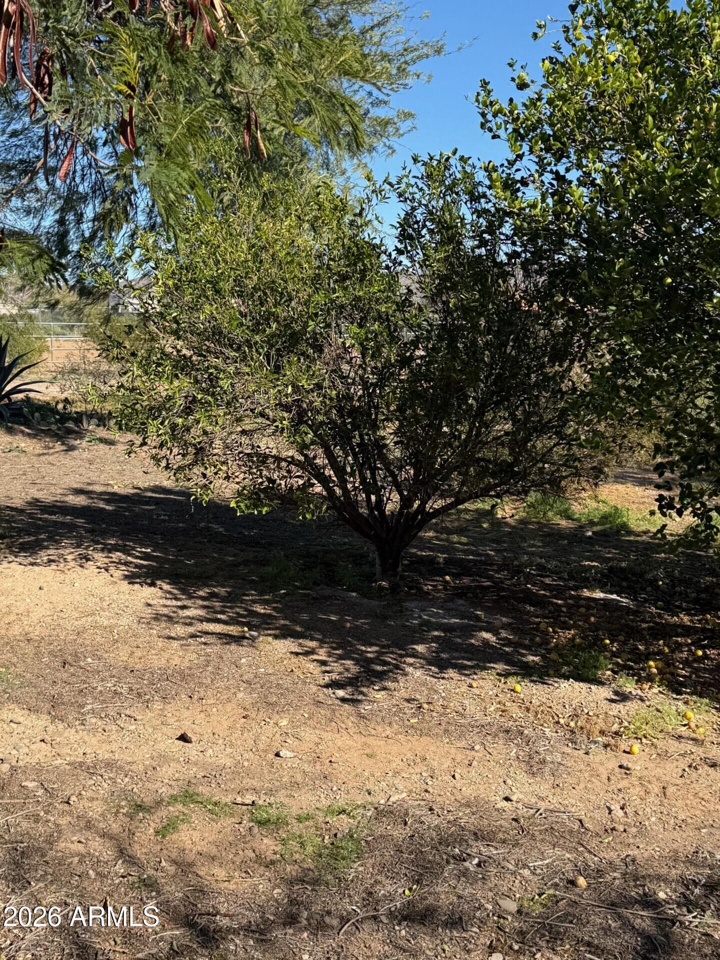 31637 N 169TH Avenue, Surprise, AZ 85387 — photo 49 of 66