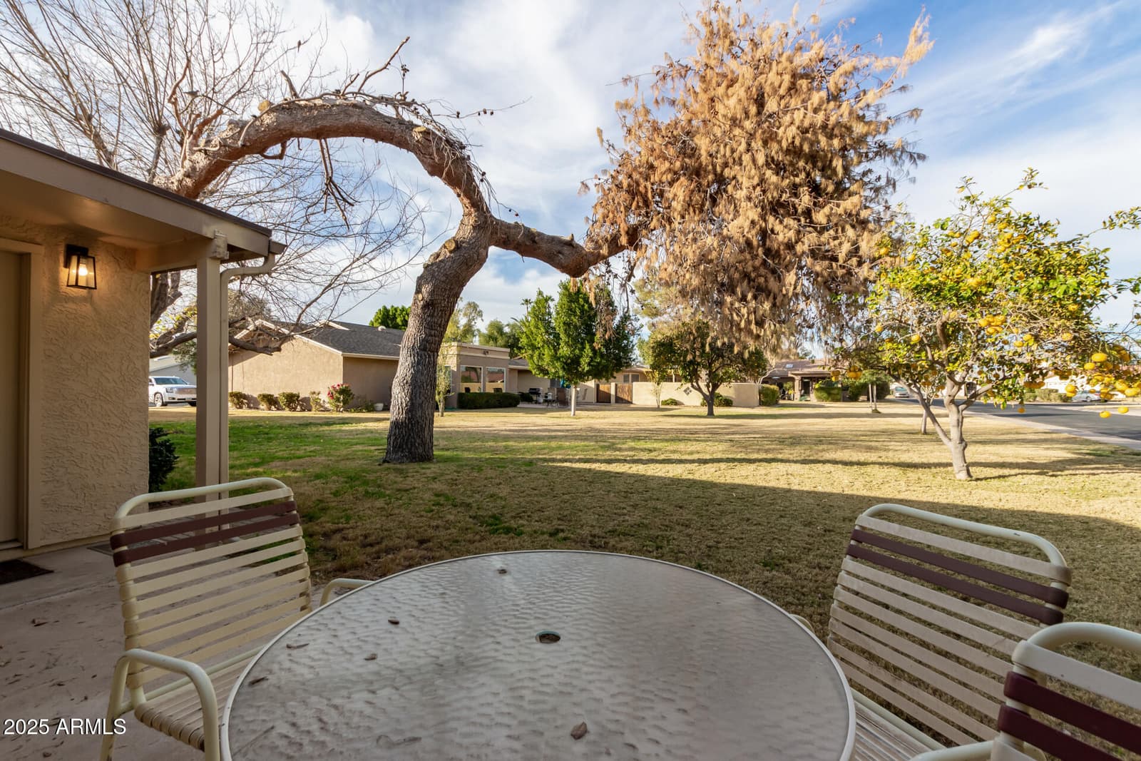 628 LEISURE WORLD, Mesa, AZ 85206 — photo 37 of 51
