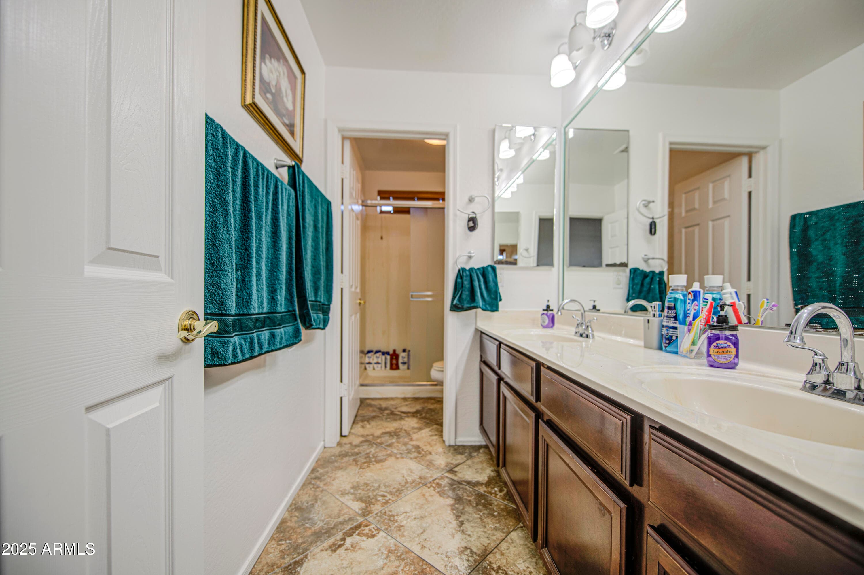 7419 S 25TH Drive, Phoenix, AZ 85041 — photo 12 of 74