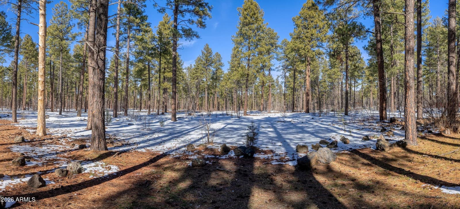 1460 S ADAIR Drive 6, Pinetop, AZ 85935 — photo 25 of 35