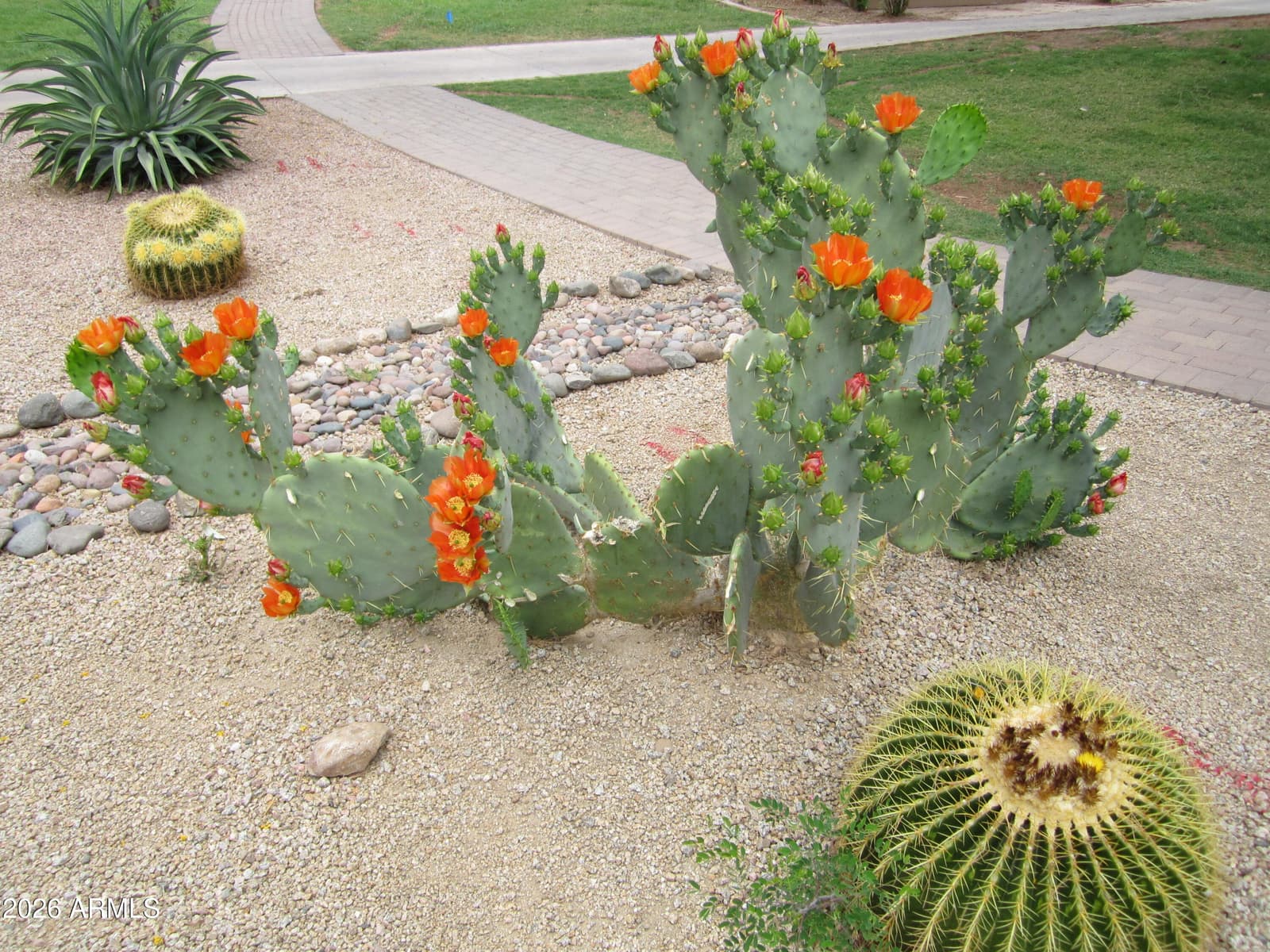 4303 E CACTUS Road 419, Phoenix, AZ 85032 — photo 33 of 34