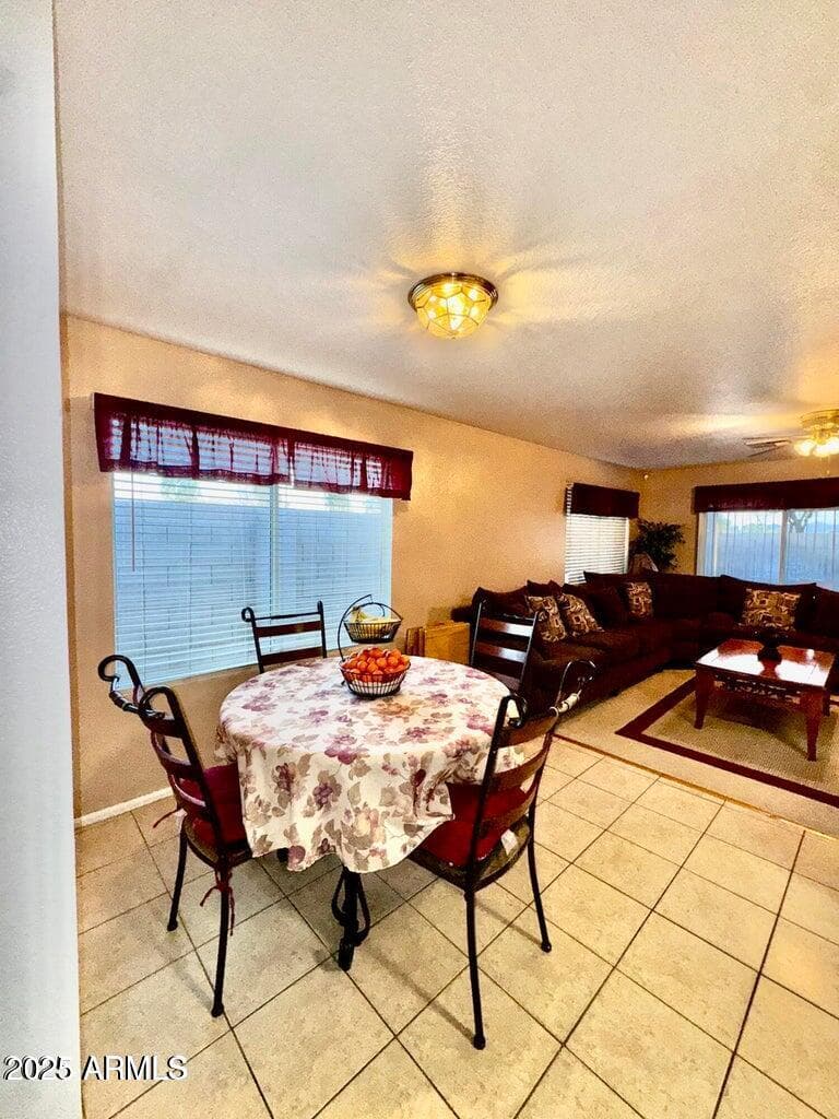 10705 W MONTECITO Avenue, Phoenix, AZ 85037 — photo 7 of 15