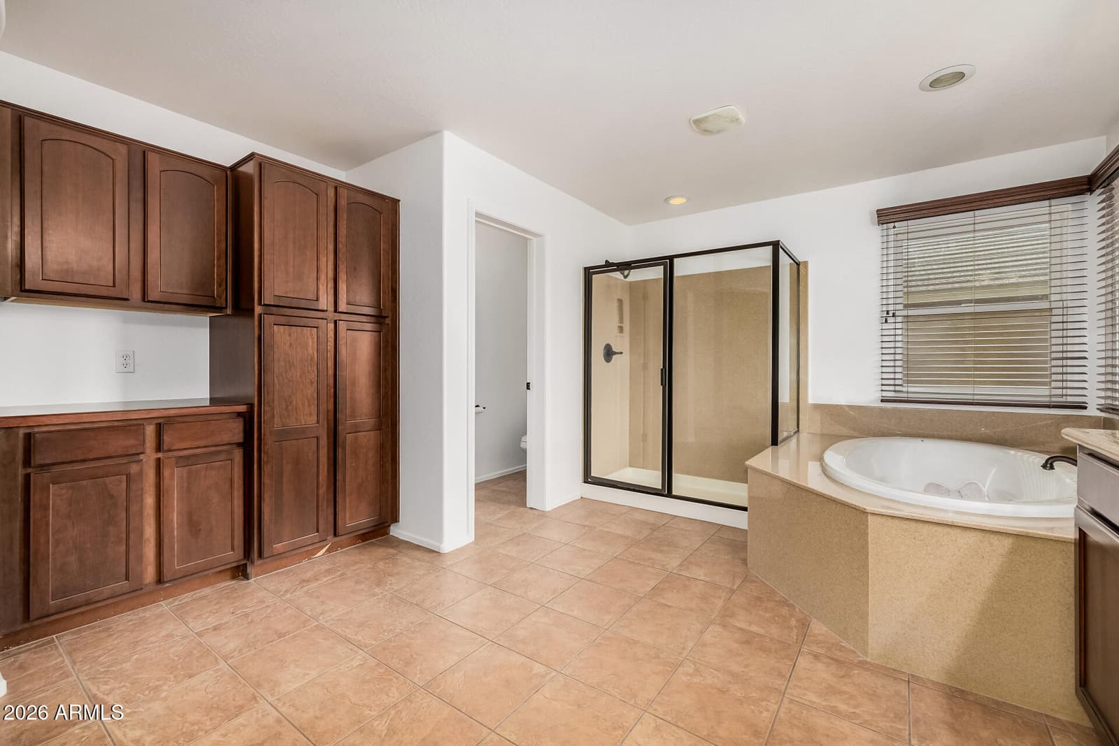 3766 N 292ND Lane, Buckeye, AZ 85396 — photo 28 of 54