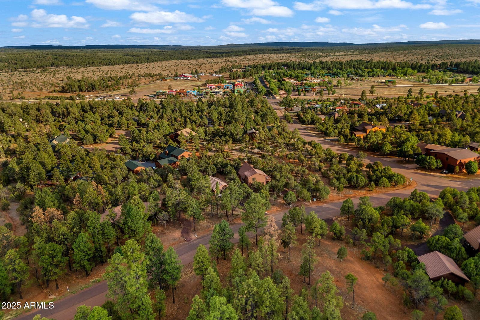 2781 AIR PARK Drive, Overgaard, AZ 85933 — photo 40 of 42