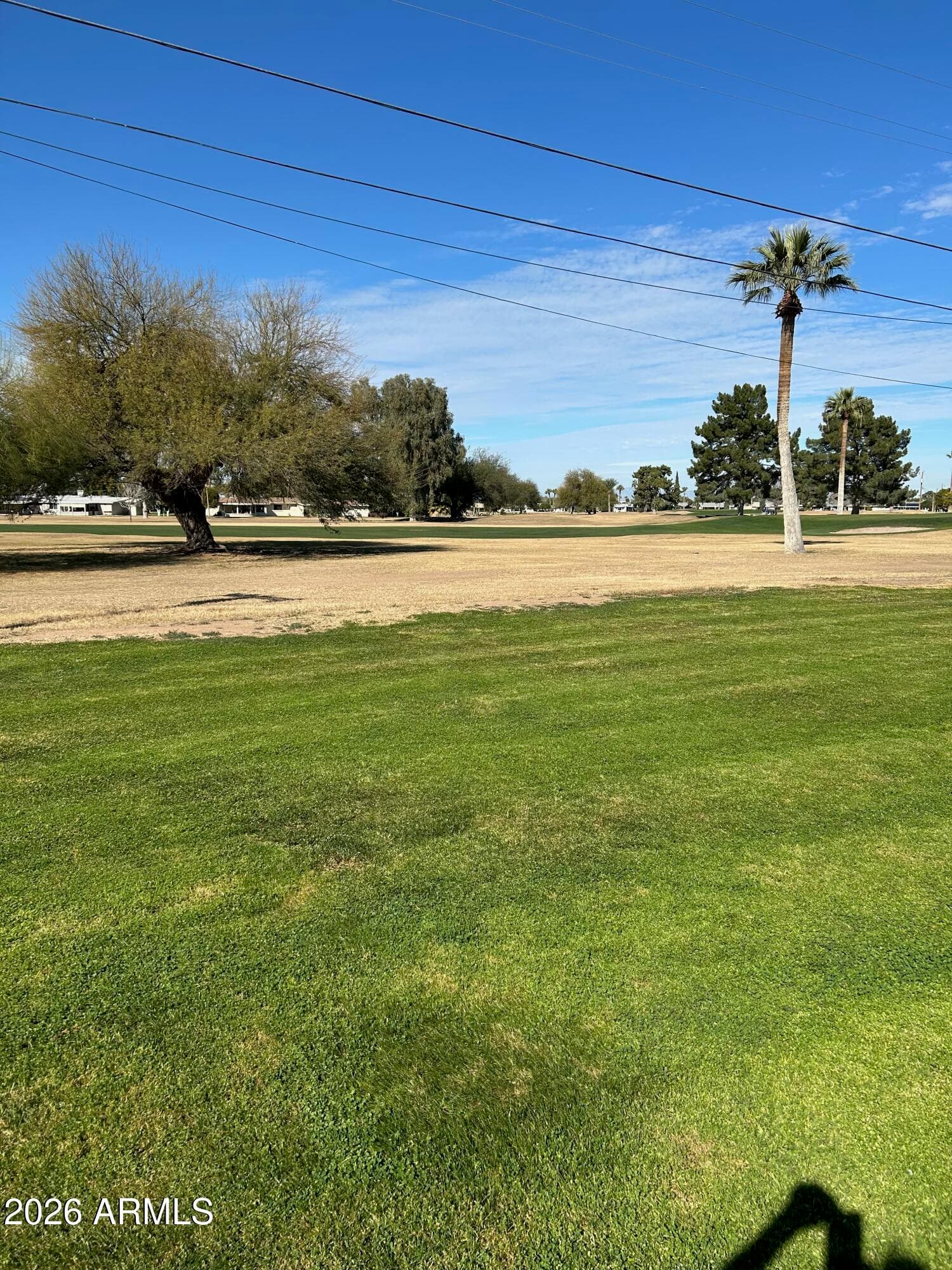 10022 W LAKEVIEW Circle N, Sun City, AZ 85351 — photo 25 of 30