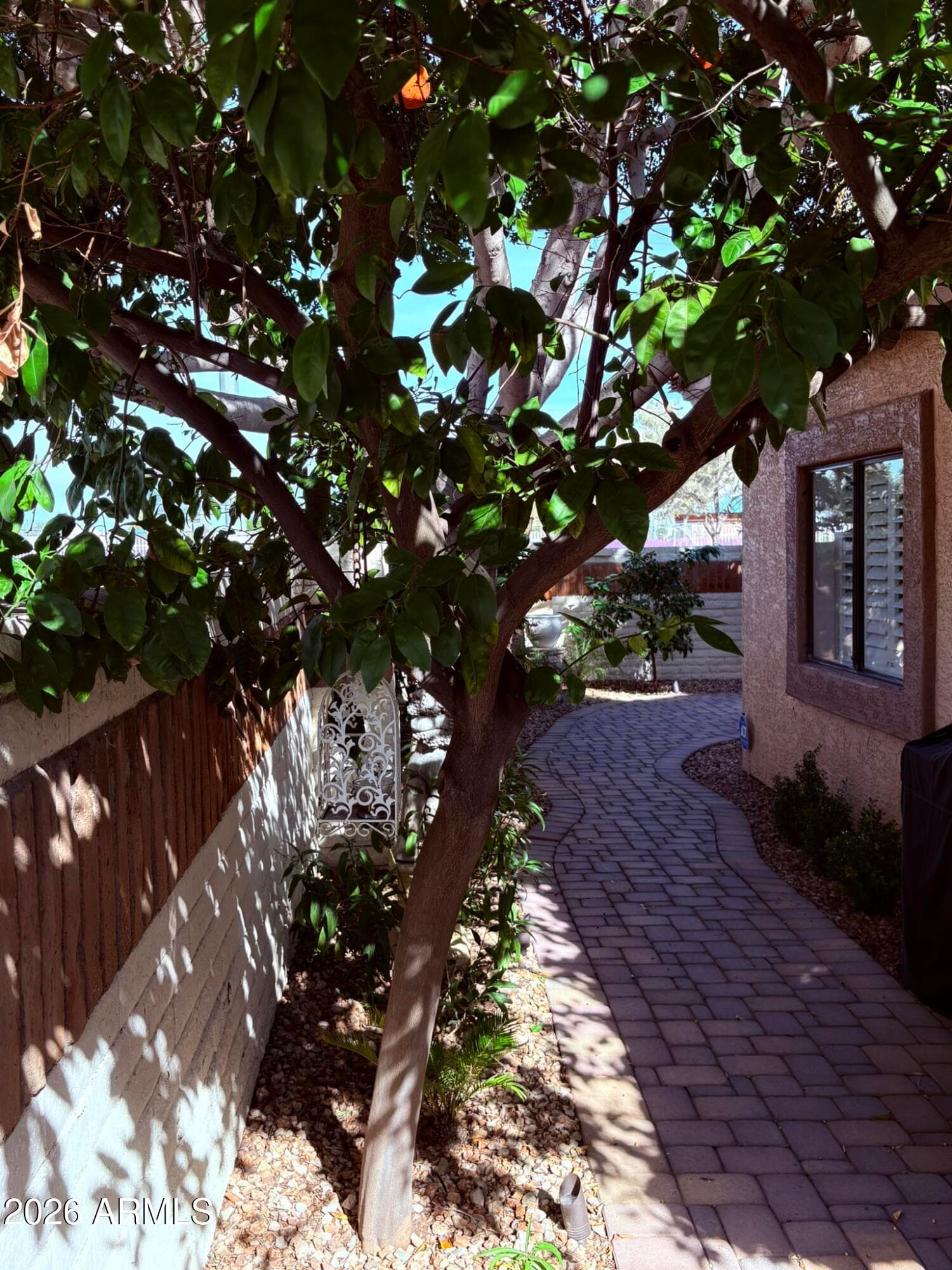 1636 E Villa Theresa Drive, Phoenix, AZ 85022 — photo 45 of 48