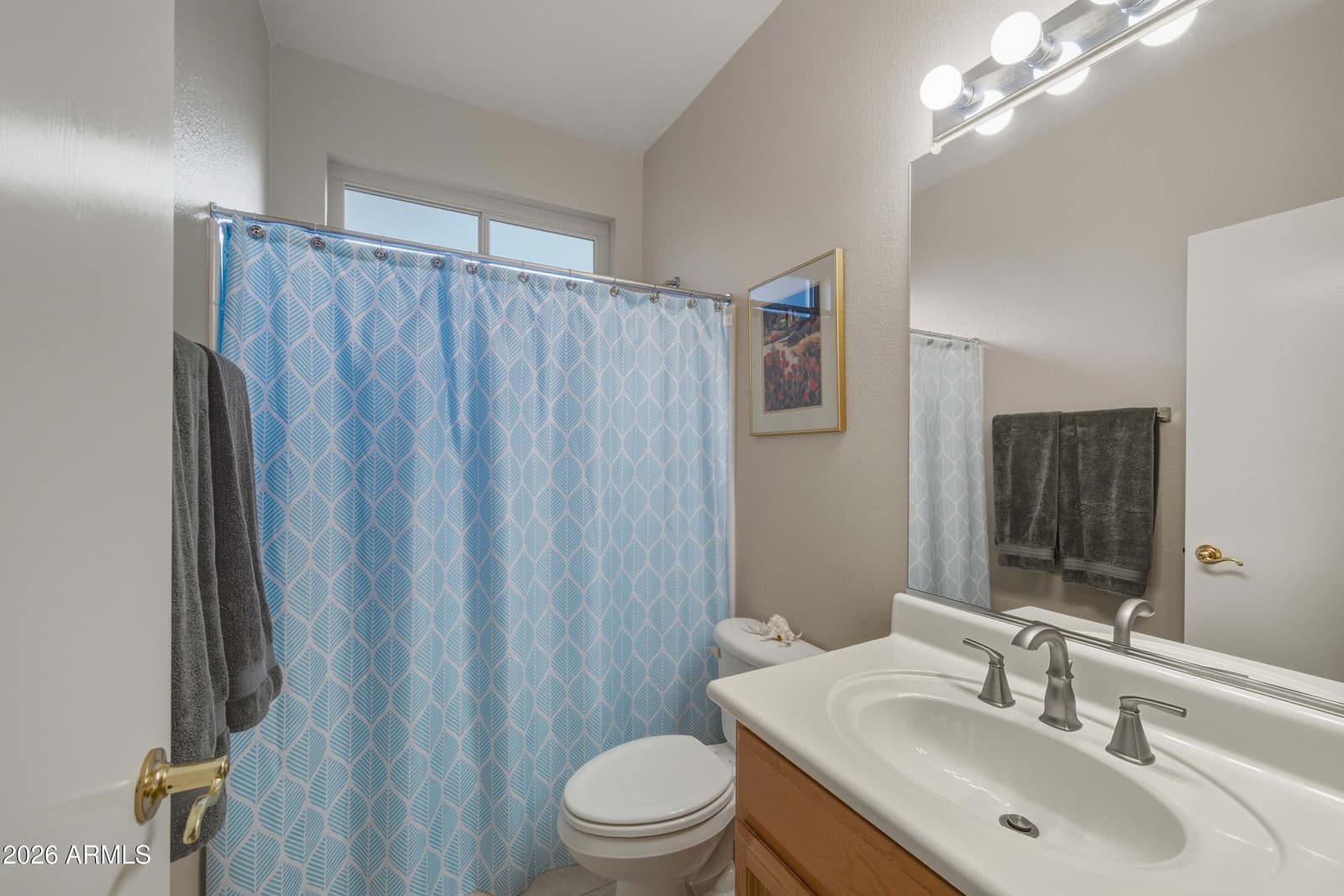 23825 S SERENITY Way, Sun Lakes, AZ 85248 — photo 17 of 29