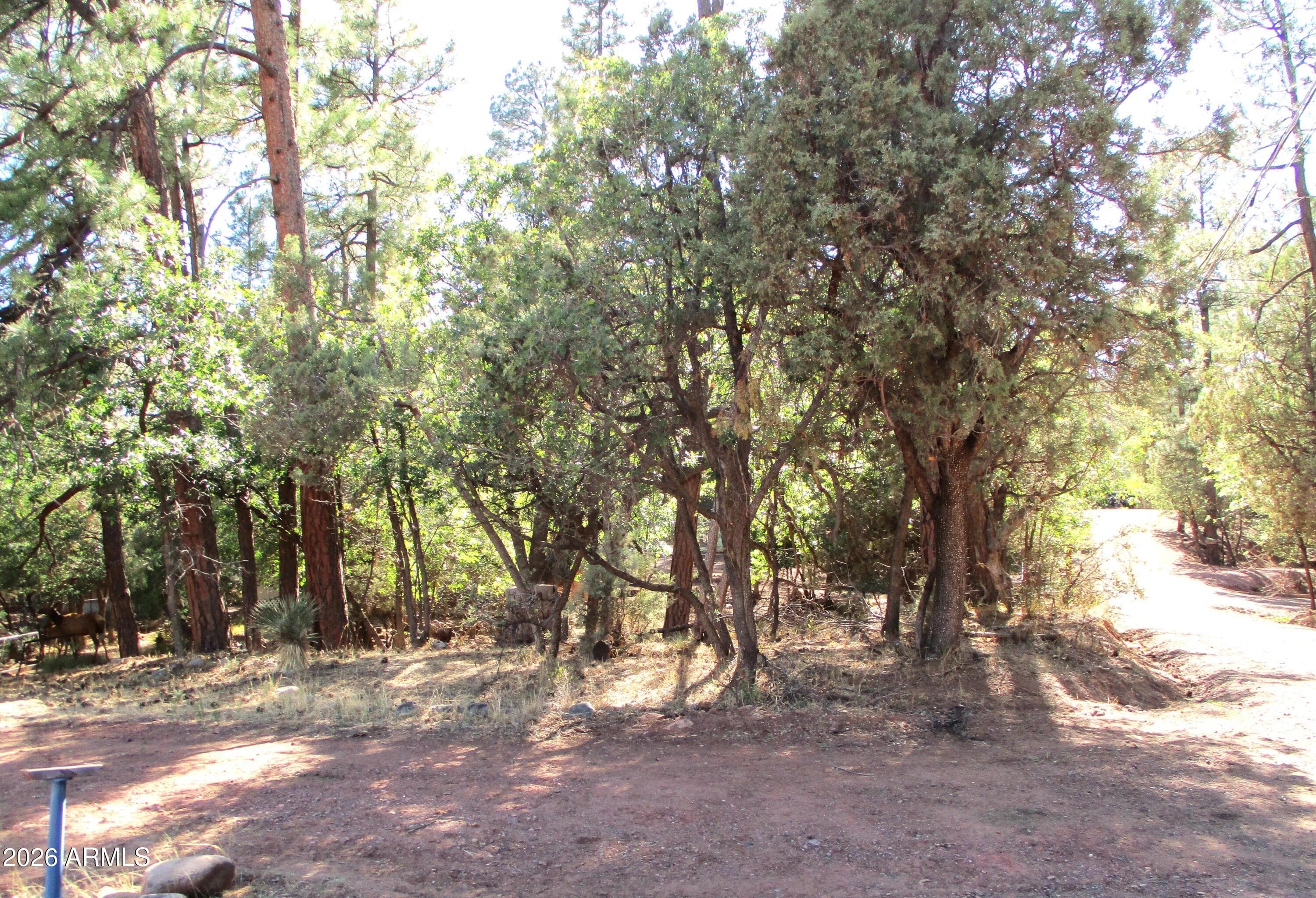 6413 W Barton Drive, Pine, AZ 85544 — photo 21 of 21