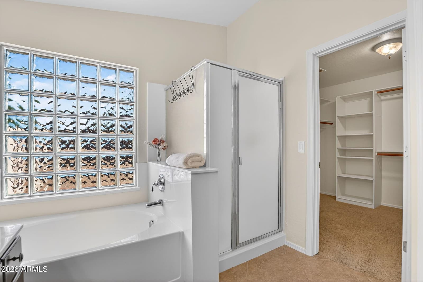 3721 N Brindley Avenue, Litchfield Park, AZ 85340 — photo 42 of 54