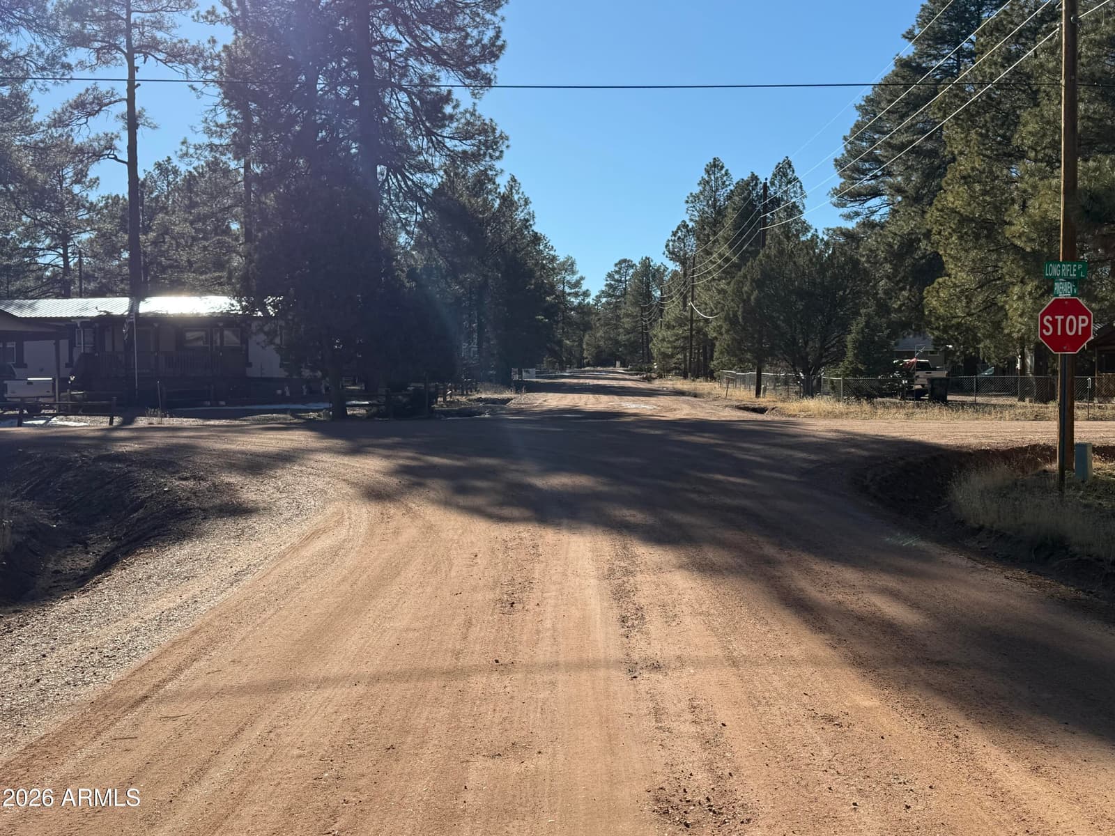 2058 PINEHAVEN Lane, Overgaard, AZ 85933 — photo 20 of 30