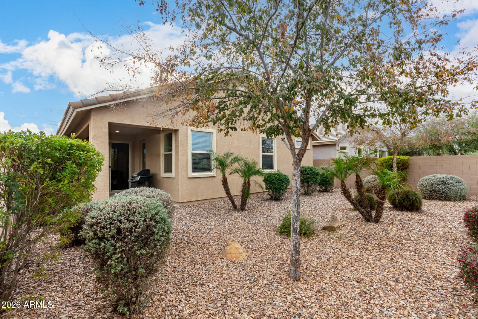 854 W LOWELL Drive, San Tan Valley, AZ 85140 — photo 19 of 24