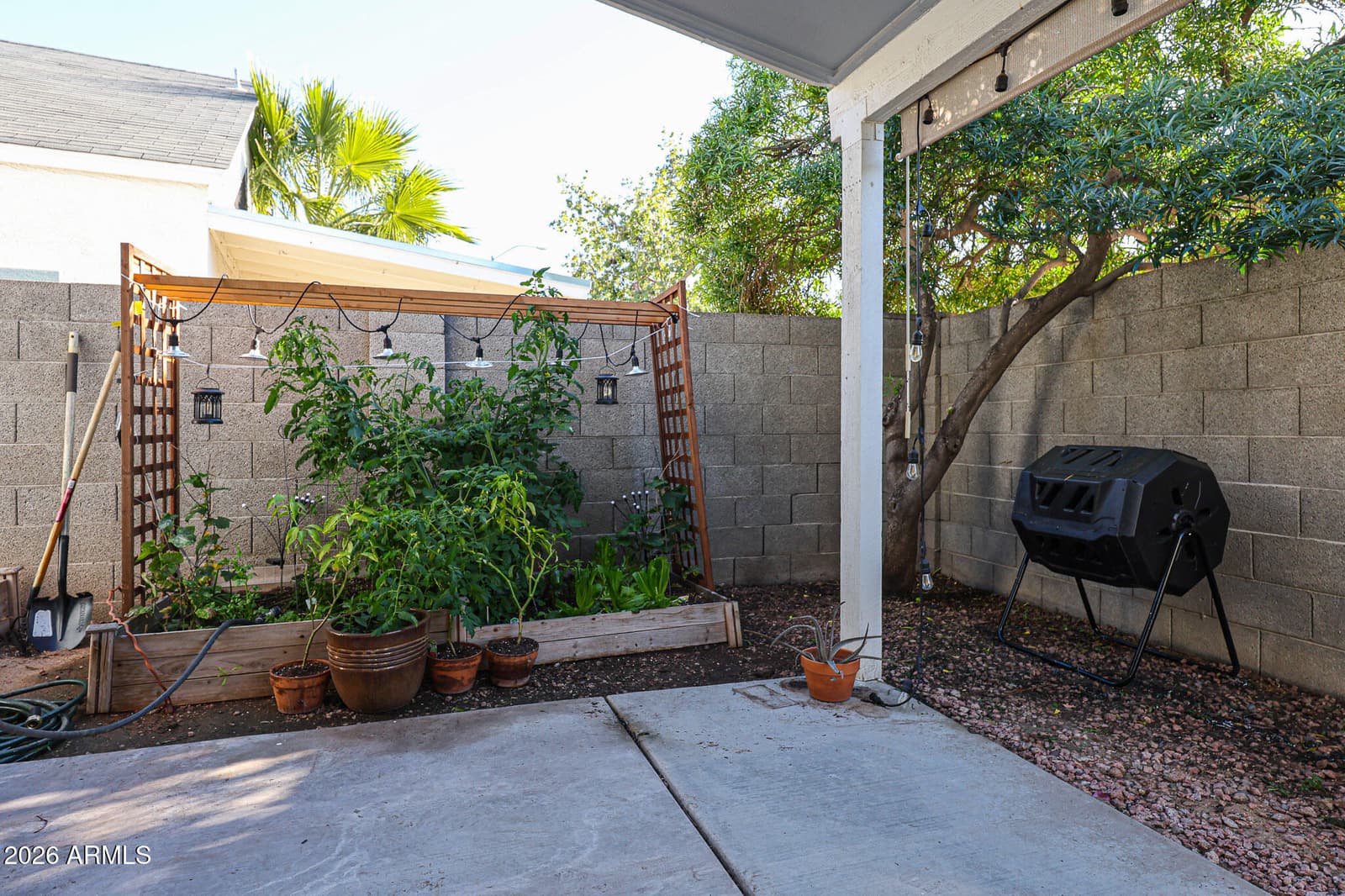 441 S MAPLE 8, Mesa, AZ 85206 — photo 26 of 28