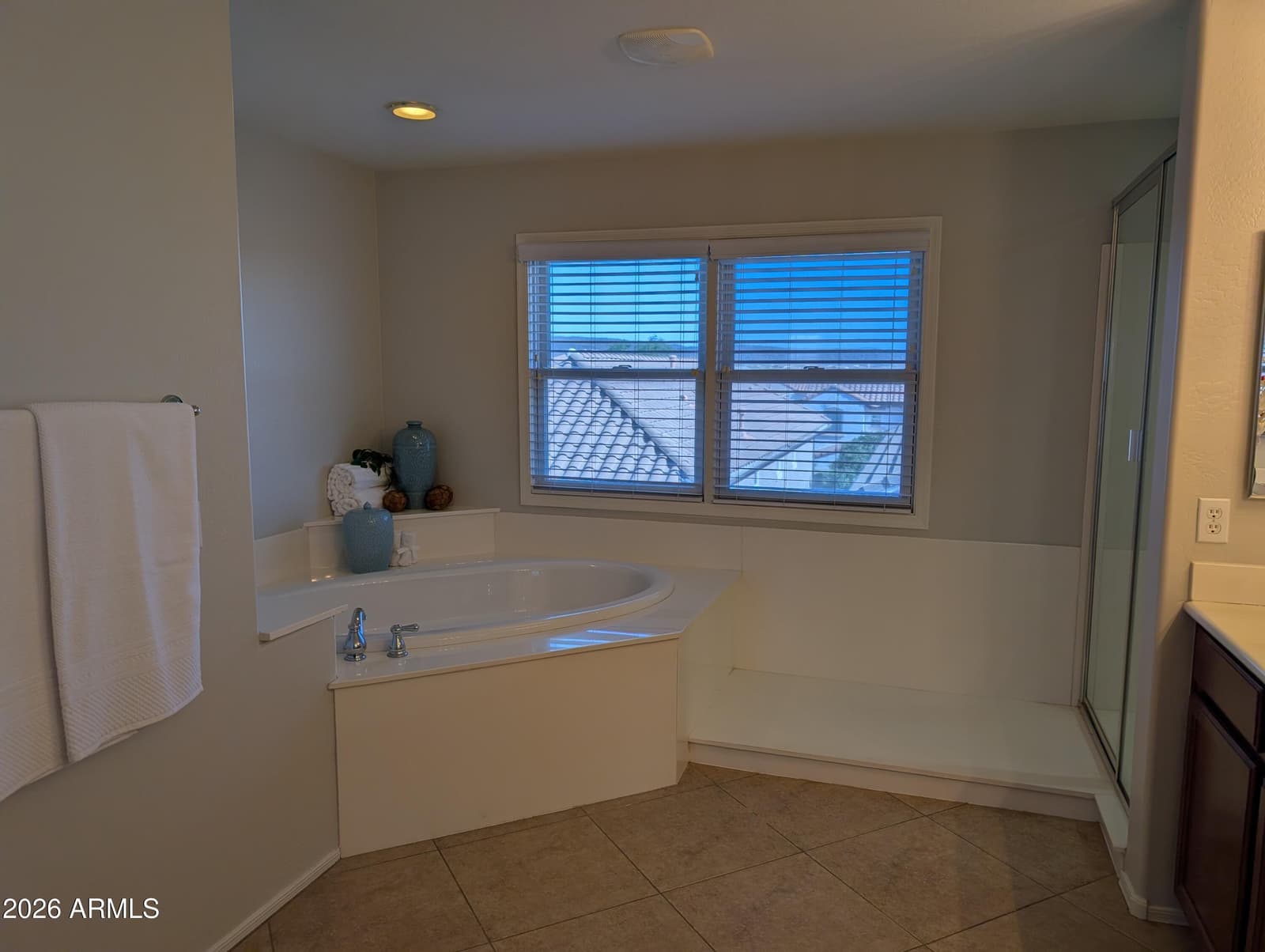 28952 N 124TH Lane, Peoria, AZ 85383 — photo 31 of 47