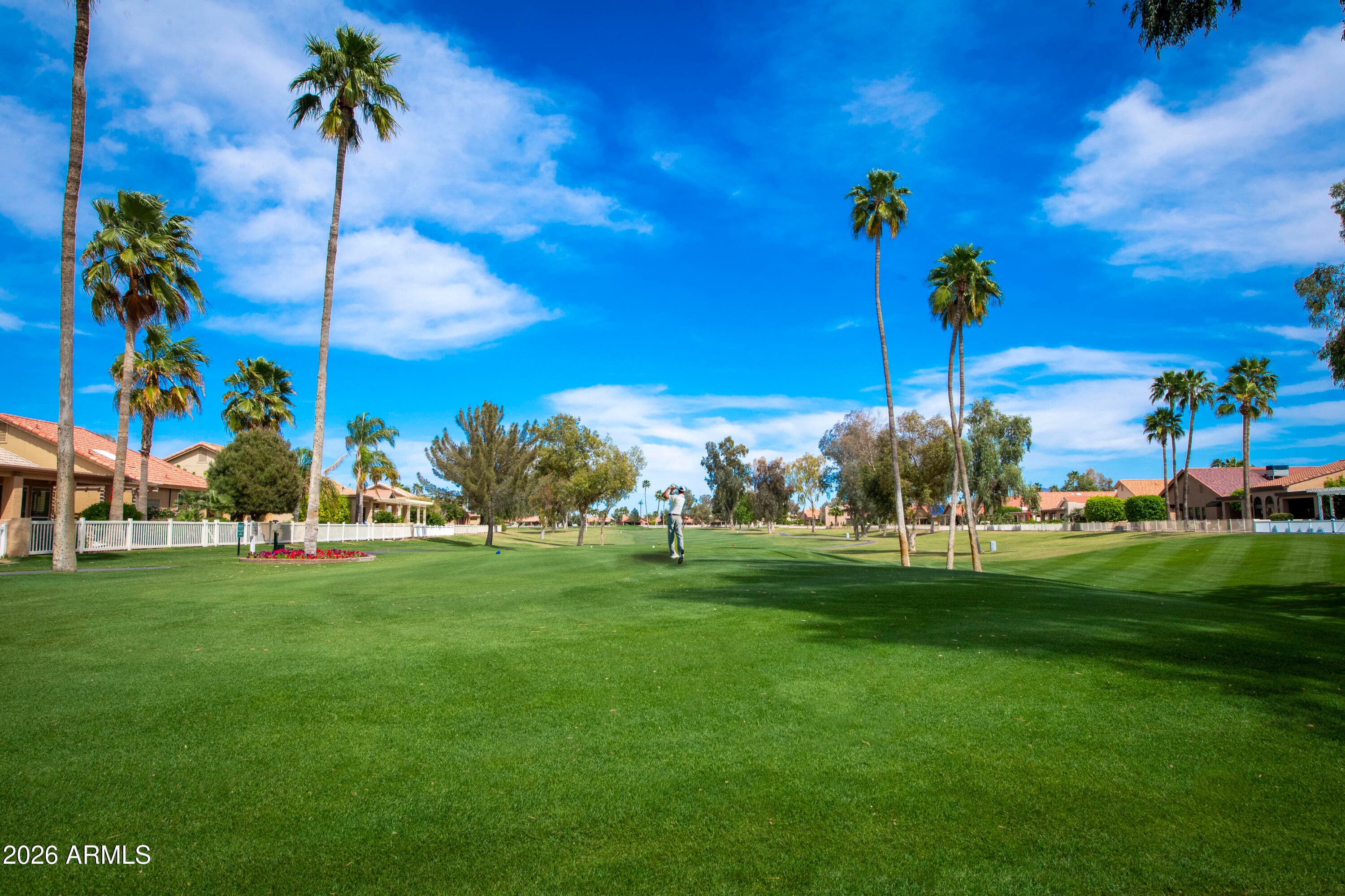 25222 S BUTTONWOOD Drive, Sun Lakes, AZ 85248 — photo 47 of 54