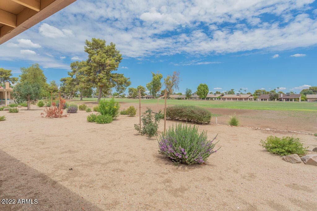 12003 S TONOPAH Drive, Phoenix, AZ 85044 — photo 38 of 49
